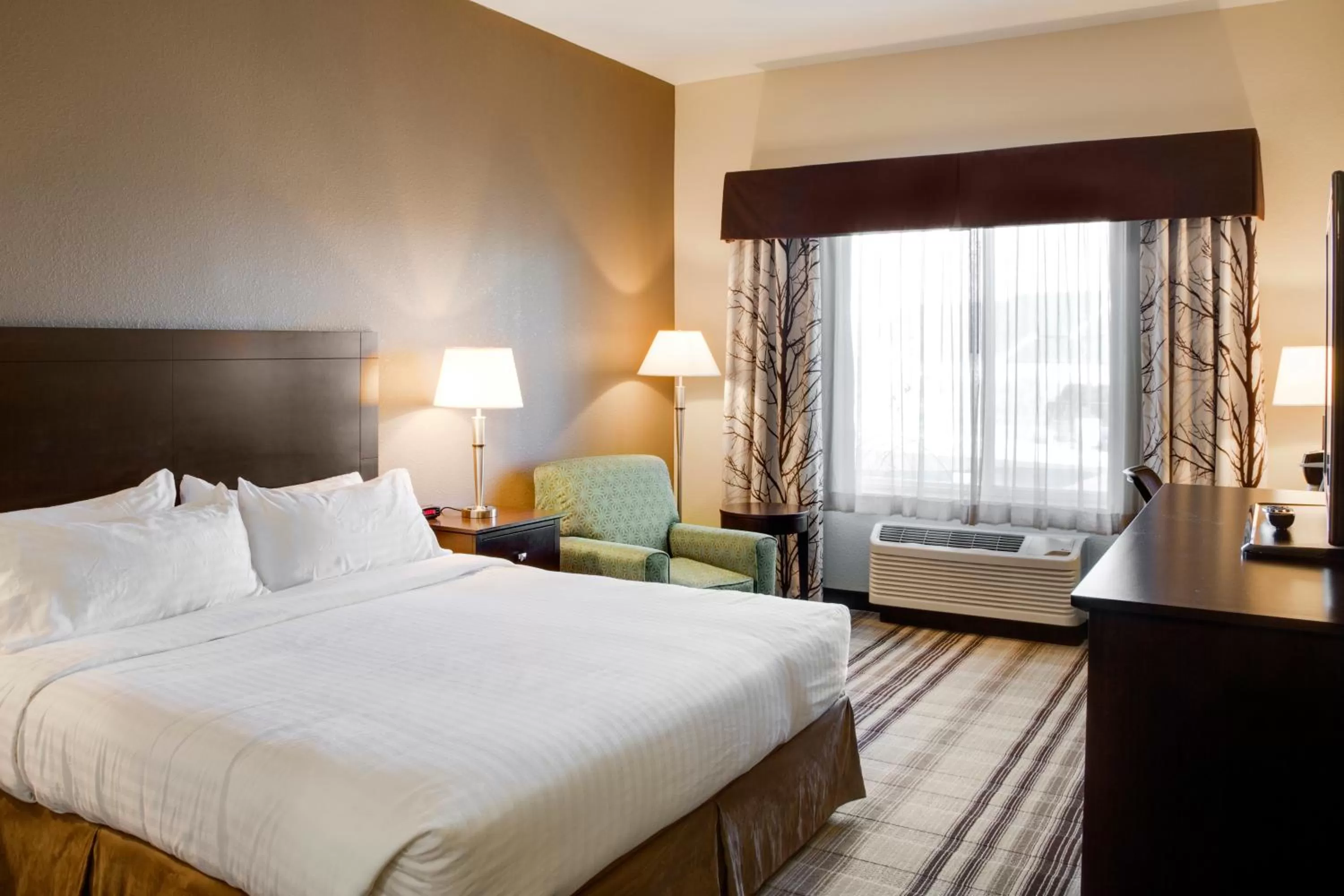 King Room with Roll-In Shower - Disability Access in Holiday Inn Express & Suites Nevada by IHG