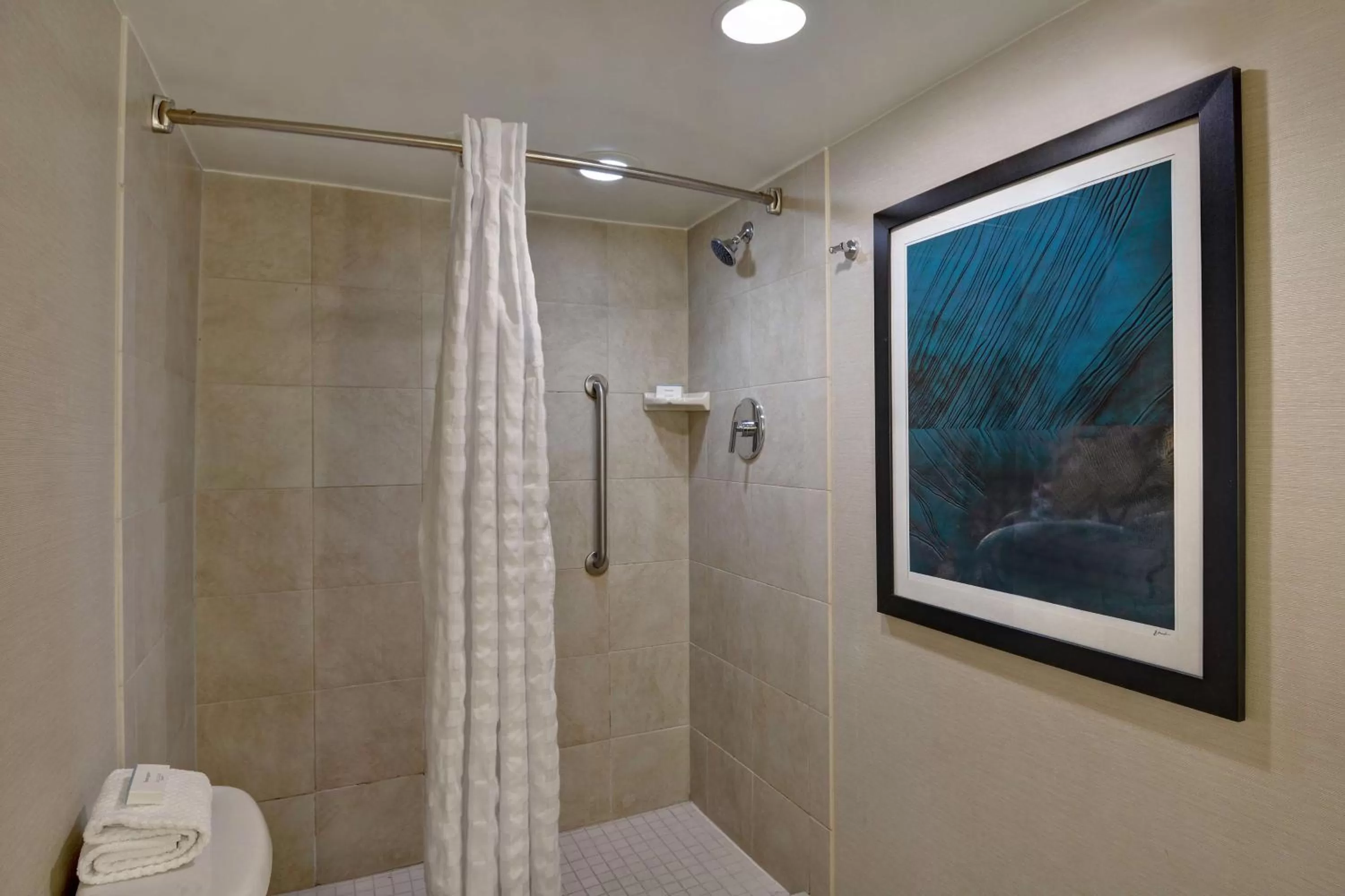 One-Bedroom Queen Suite with Roll-In Shower - Mobility Accessible/Non-Smoking in Embassy Suites Winston-Salem