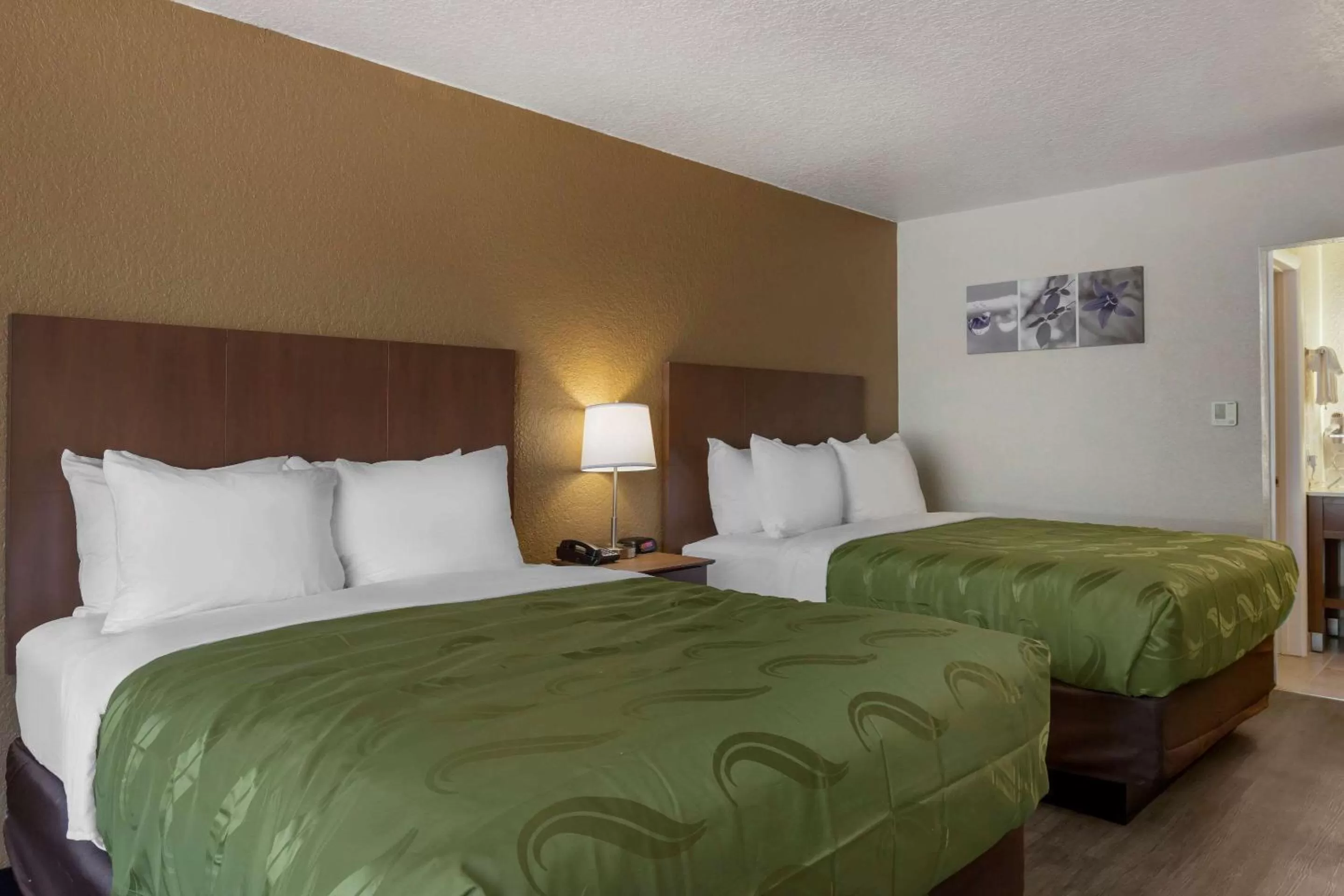 Standard Queen Room with Two Queen Beds - Non Smoking  in Quality Inn Saint Petersburg North-Tampa Bay