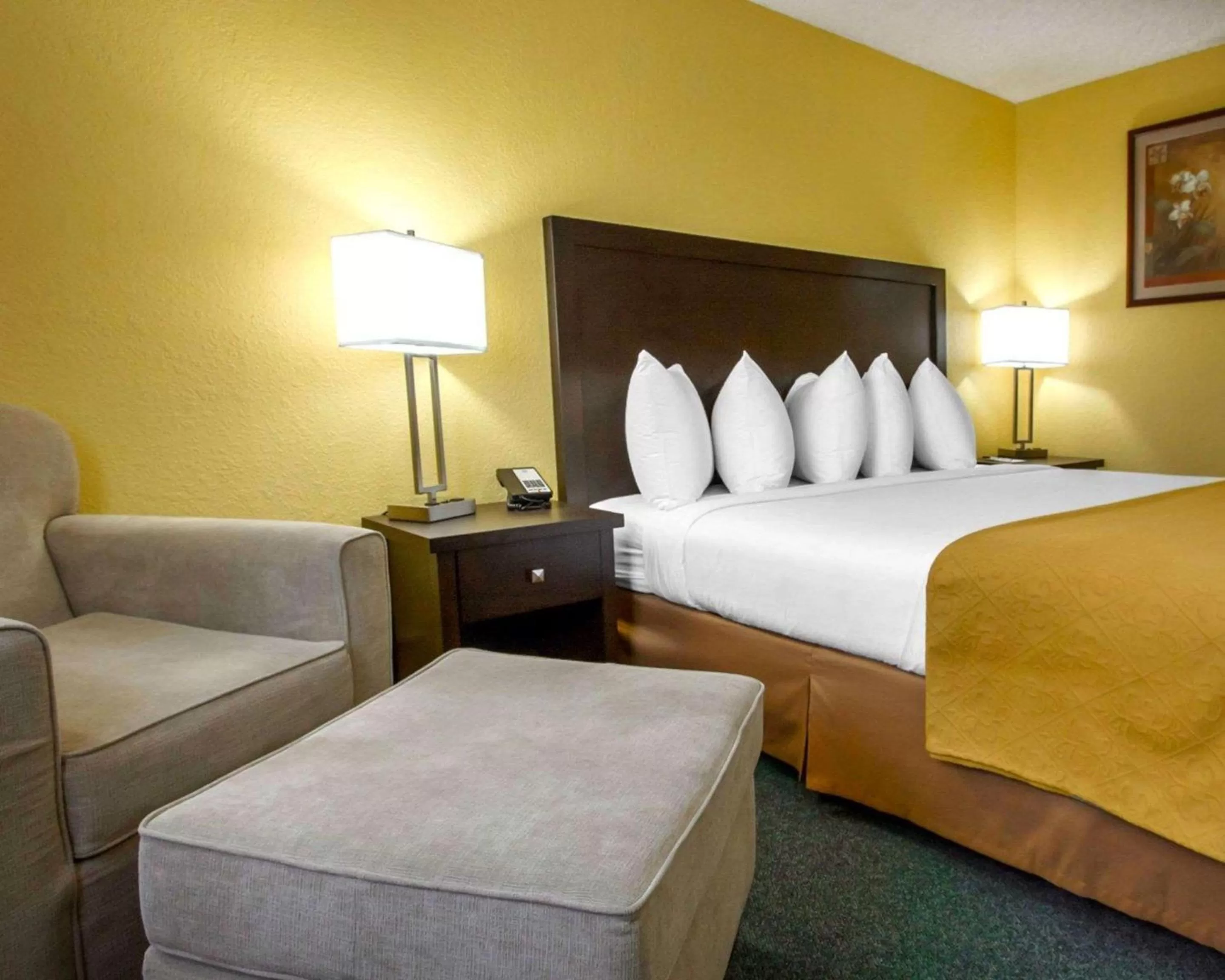 King Room - Non-Smoking in Quality Inn & Suites Springfield - Eugene North