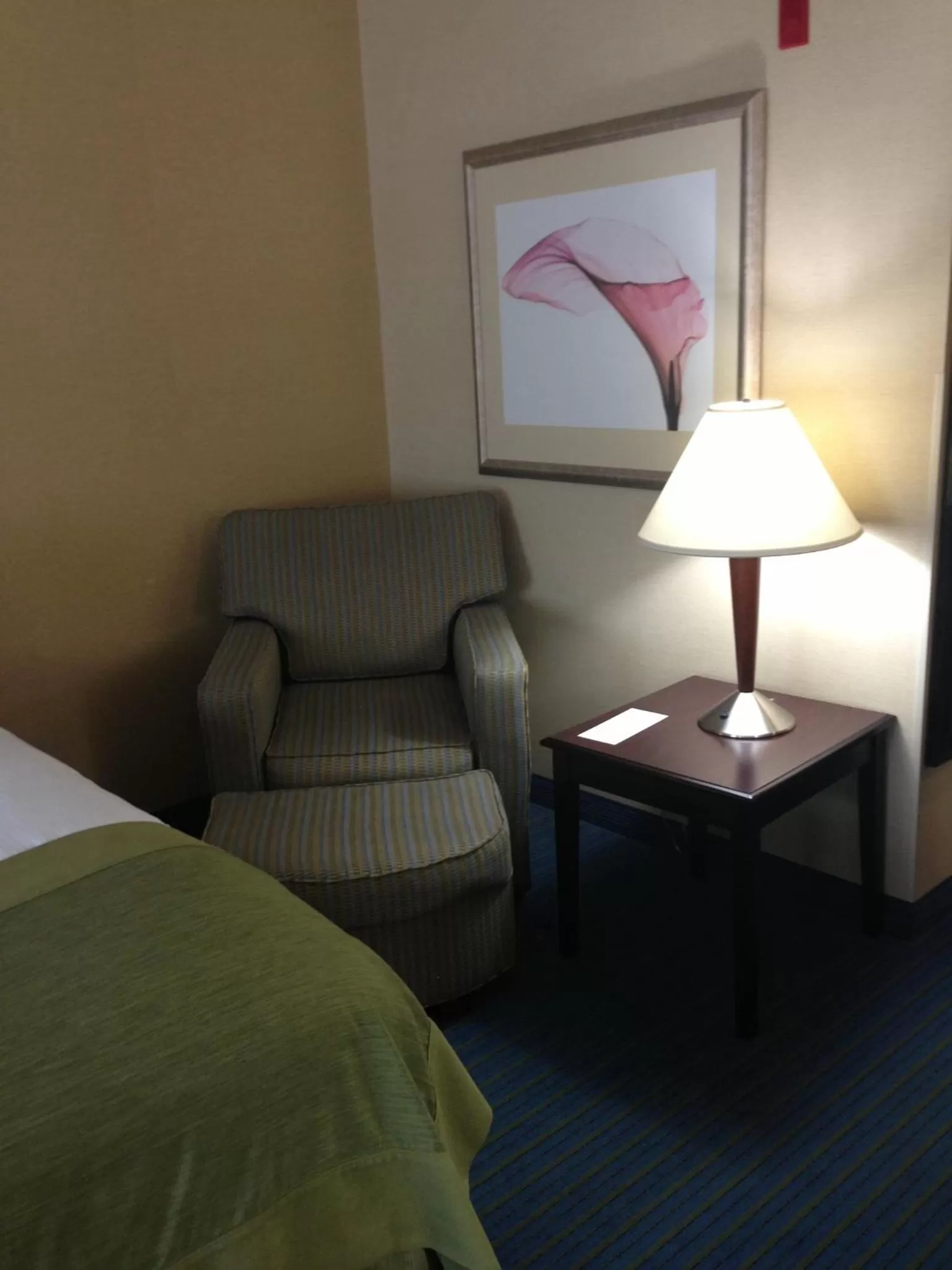 King Room - Non-Smoking in Wingate by Wyndham - York