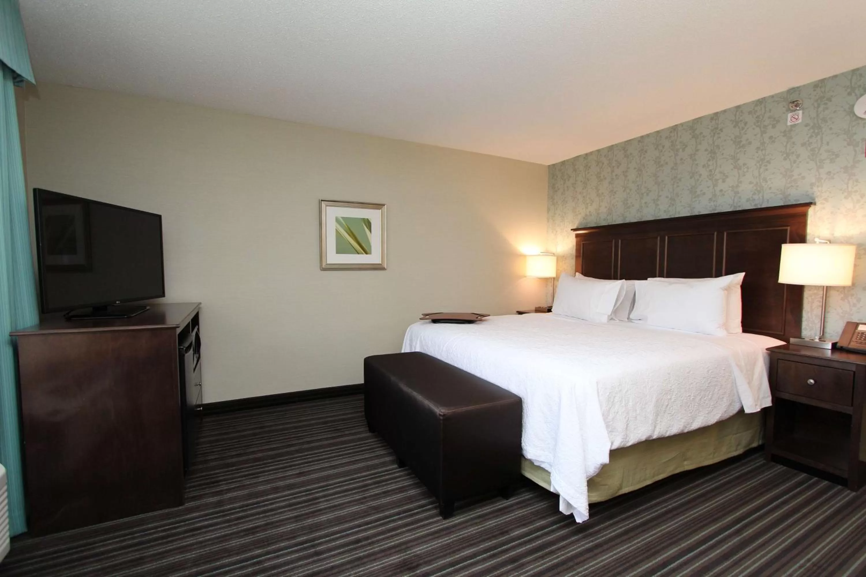 Premium King Studio - Non-Smoking in Hampton Inn & Suites by Hilton St. John's Airport