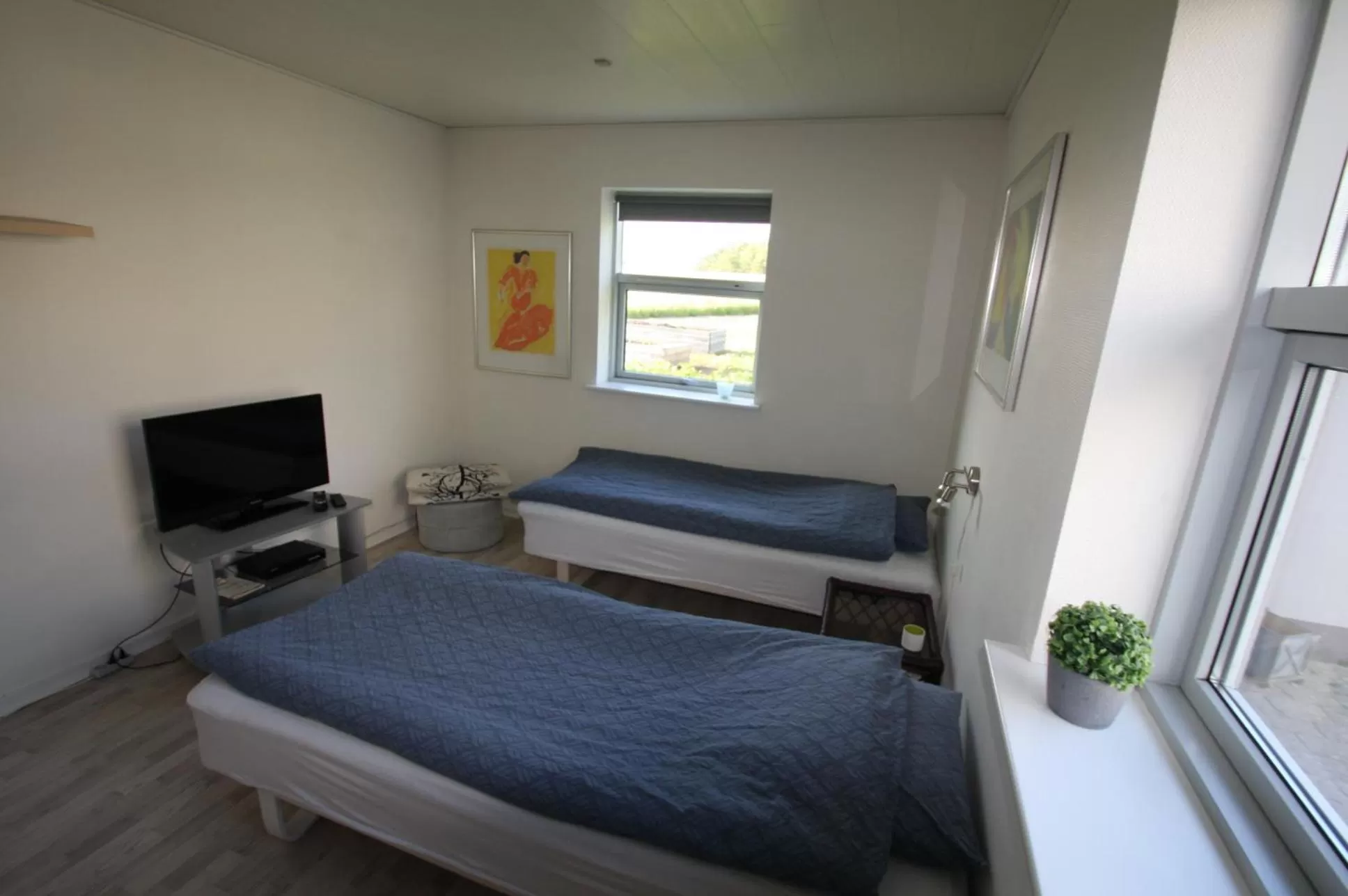 Double Room - single occupancy in Hellerup Bed & Breakfast