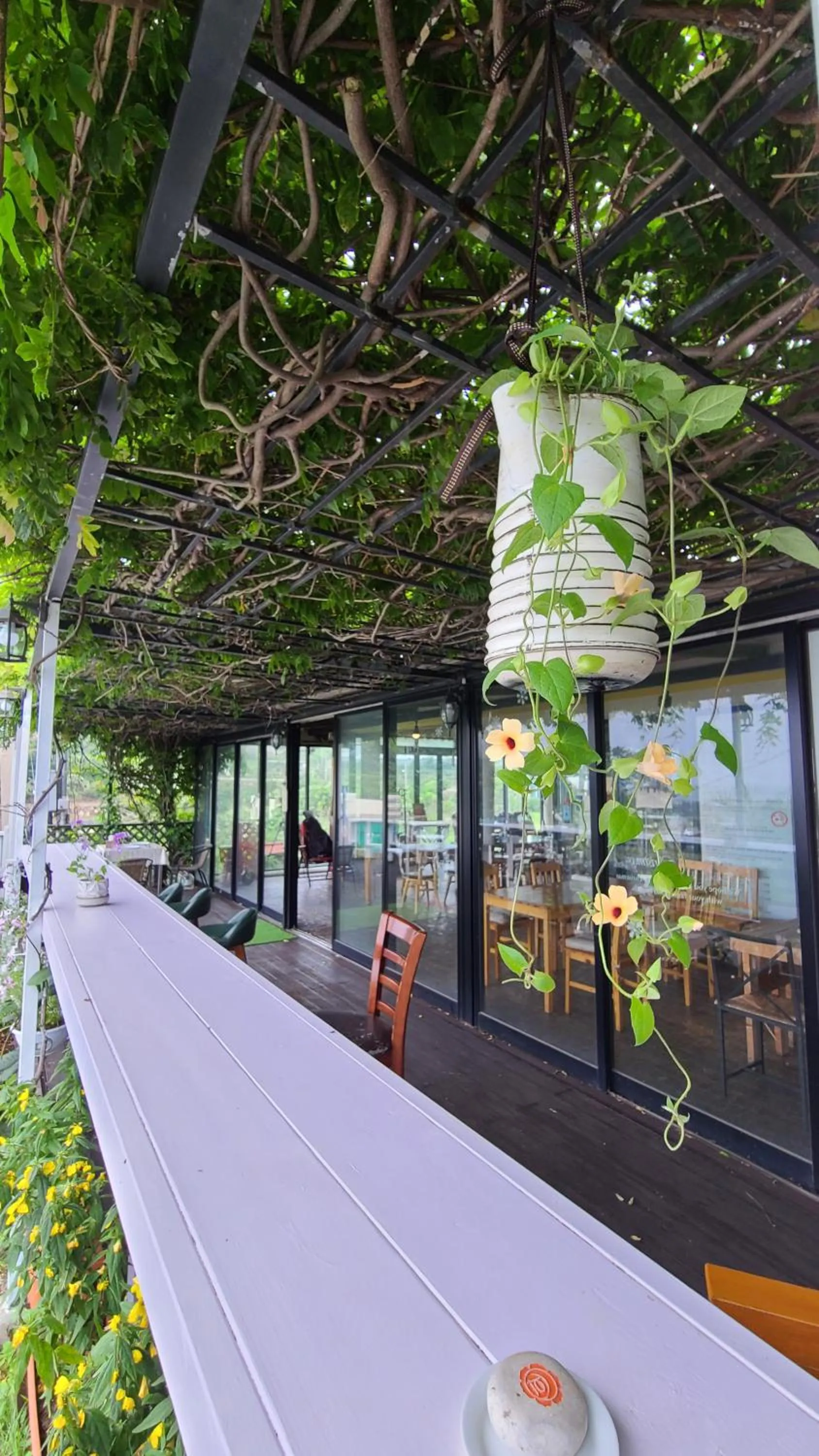 Six-Bedroom House in JEJU Doldam B&B