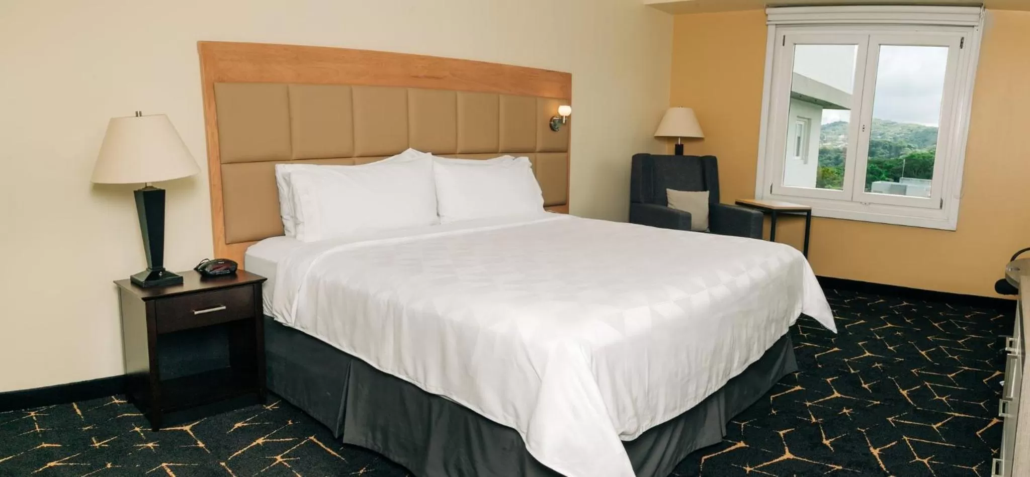 Standard King Room - single occupancy - Top Floor in Holiday Inn San Salvador by IHG