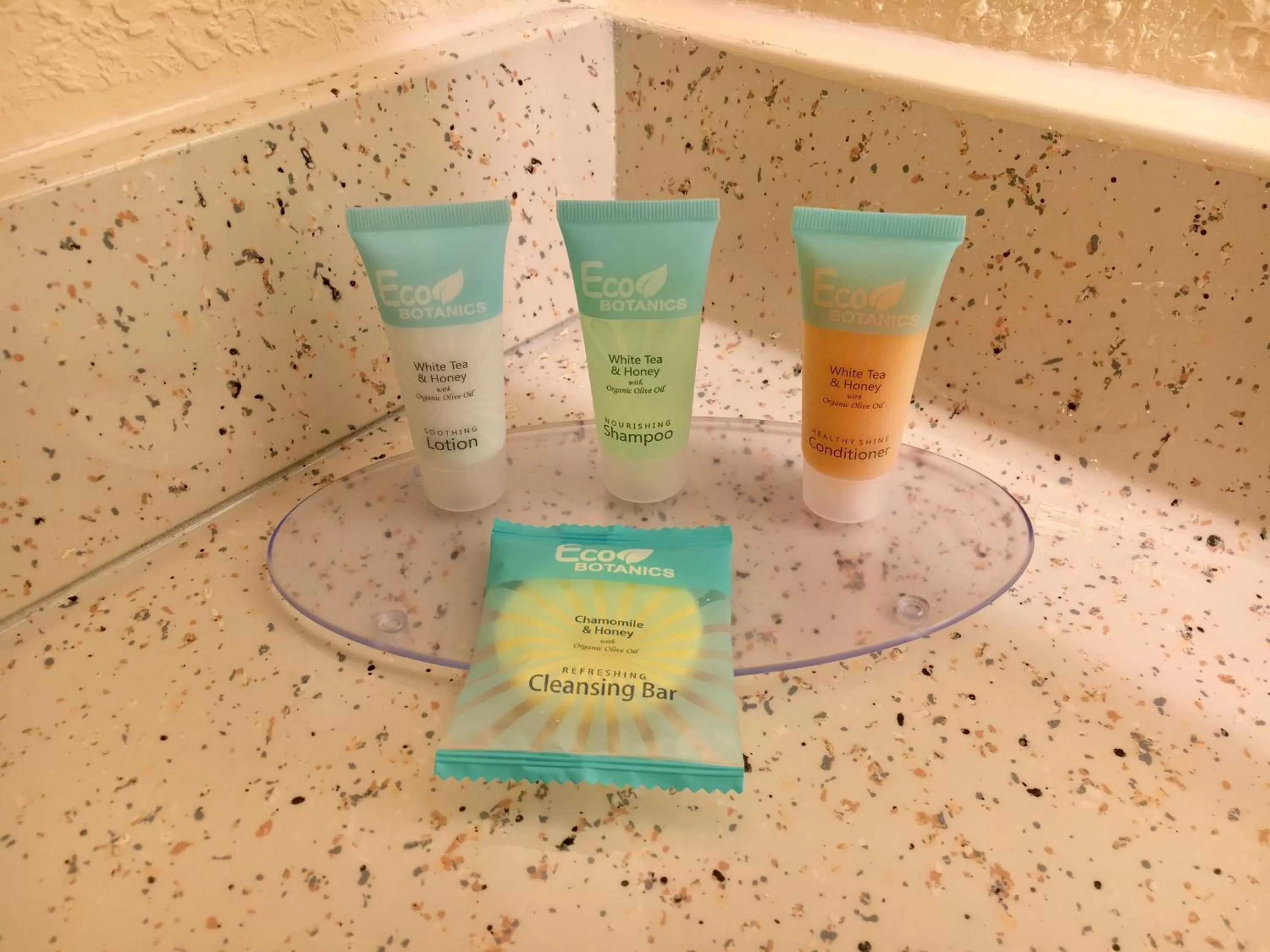 King Room - Disability Access in Floridian Express International Drive