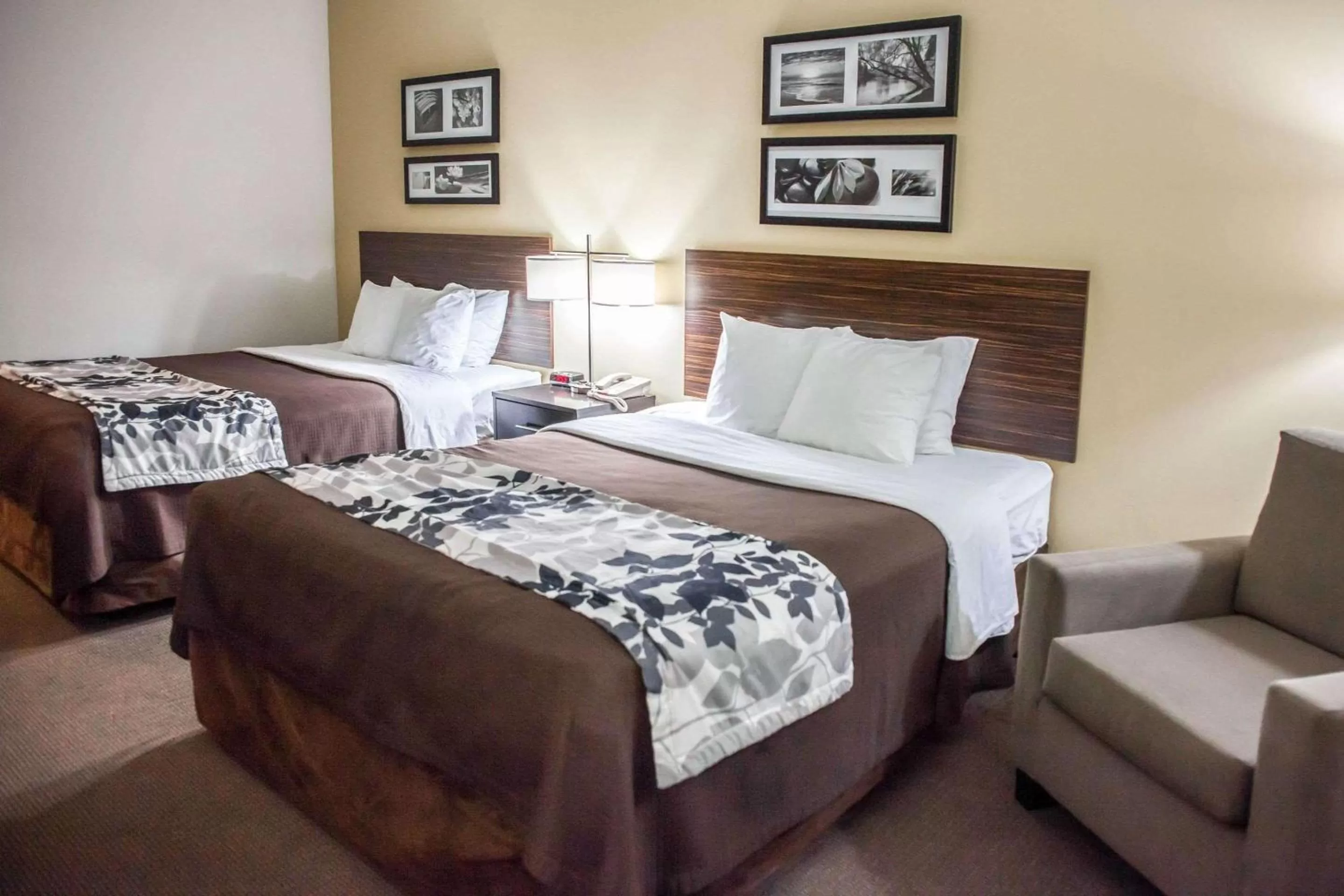 Queen Room with Two Queen Beds - Disability Access/Non-Smoking in Sleep Inn & Suites Indoor Waterpark