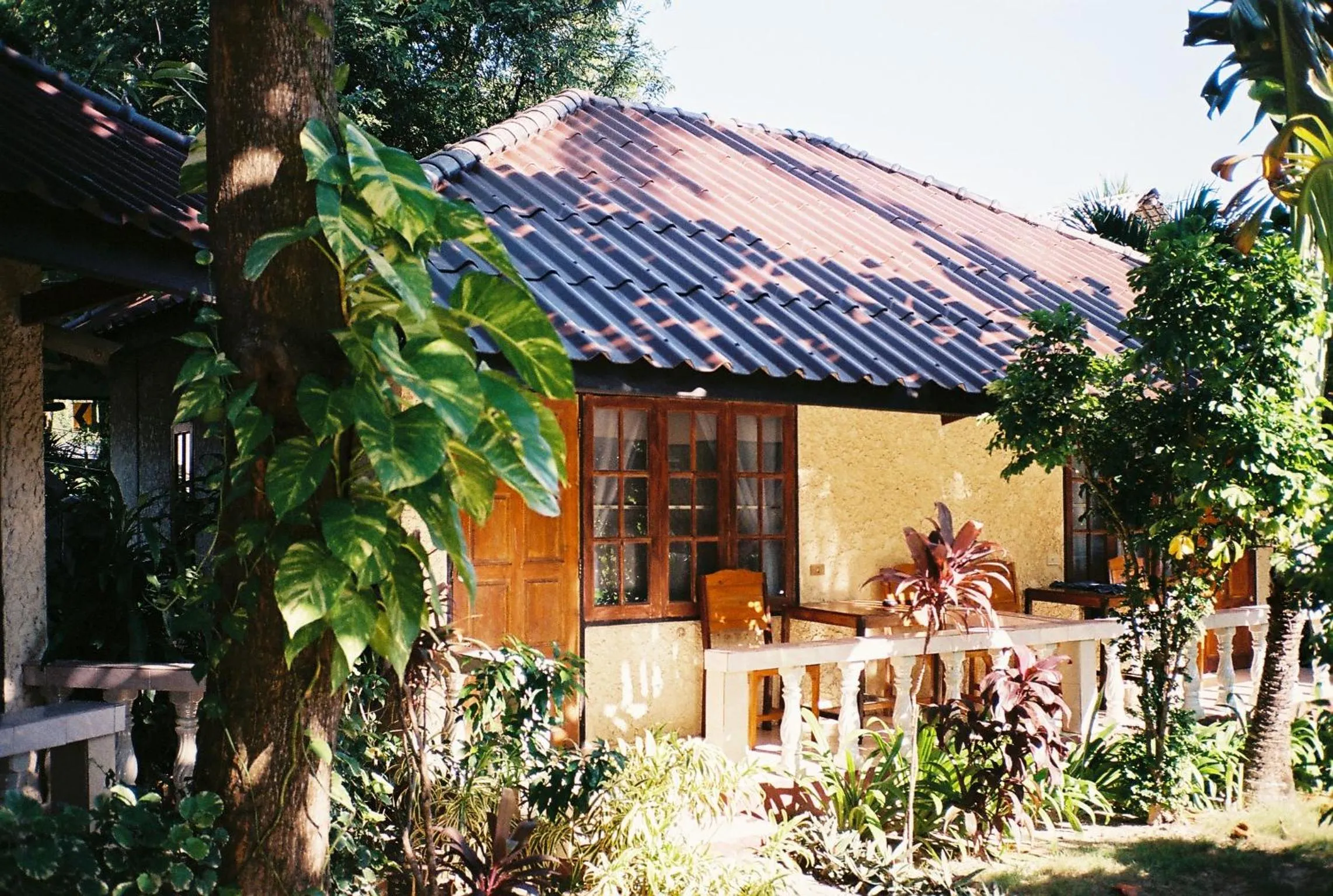 Standard Double or Twin Room in Silver Beach Resort