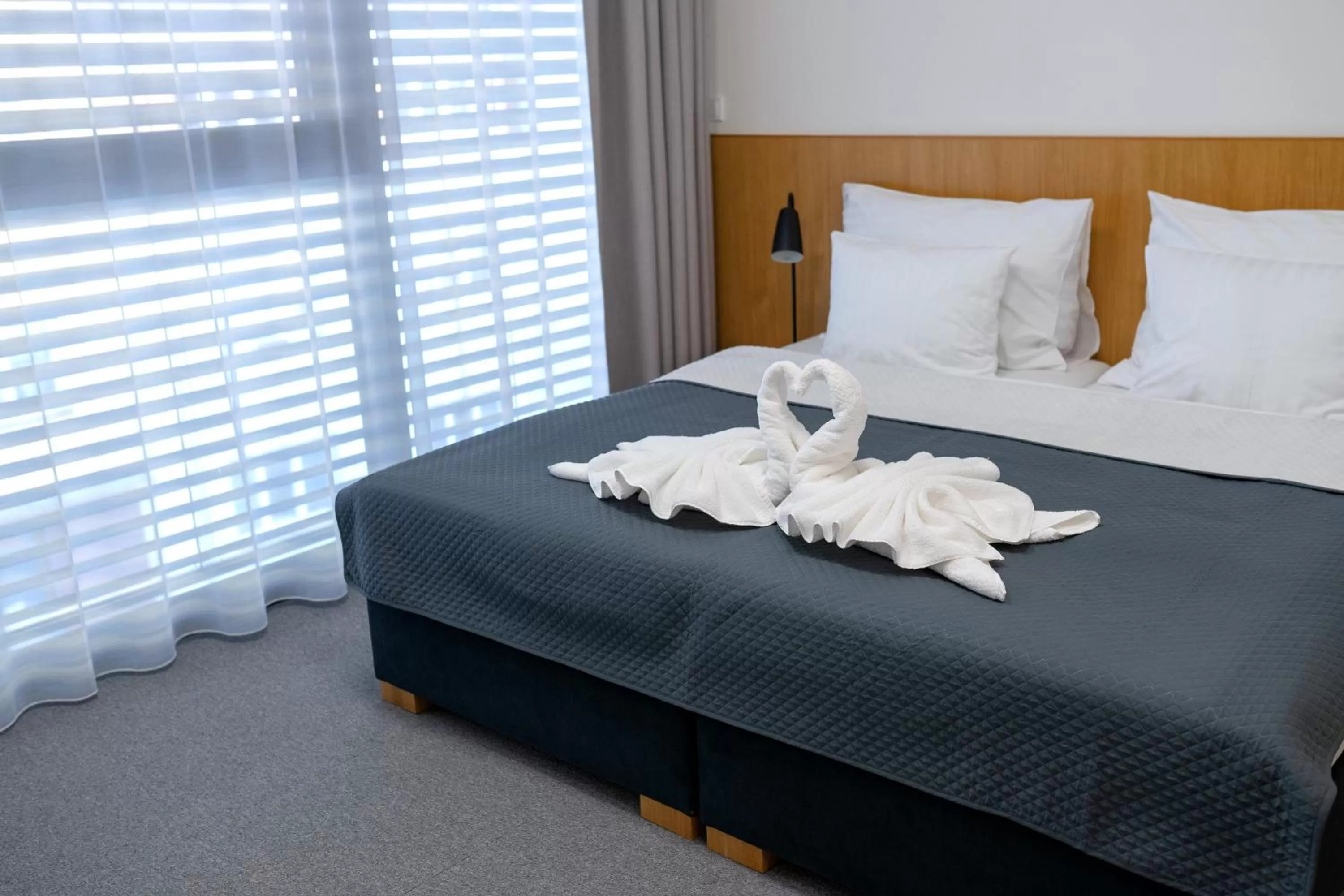 Standard Double or Twin Room - single occupancy in Hotel Smetanova