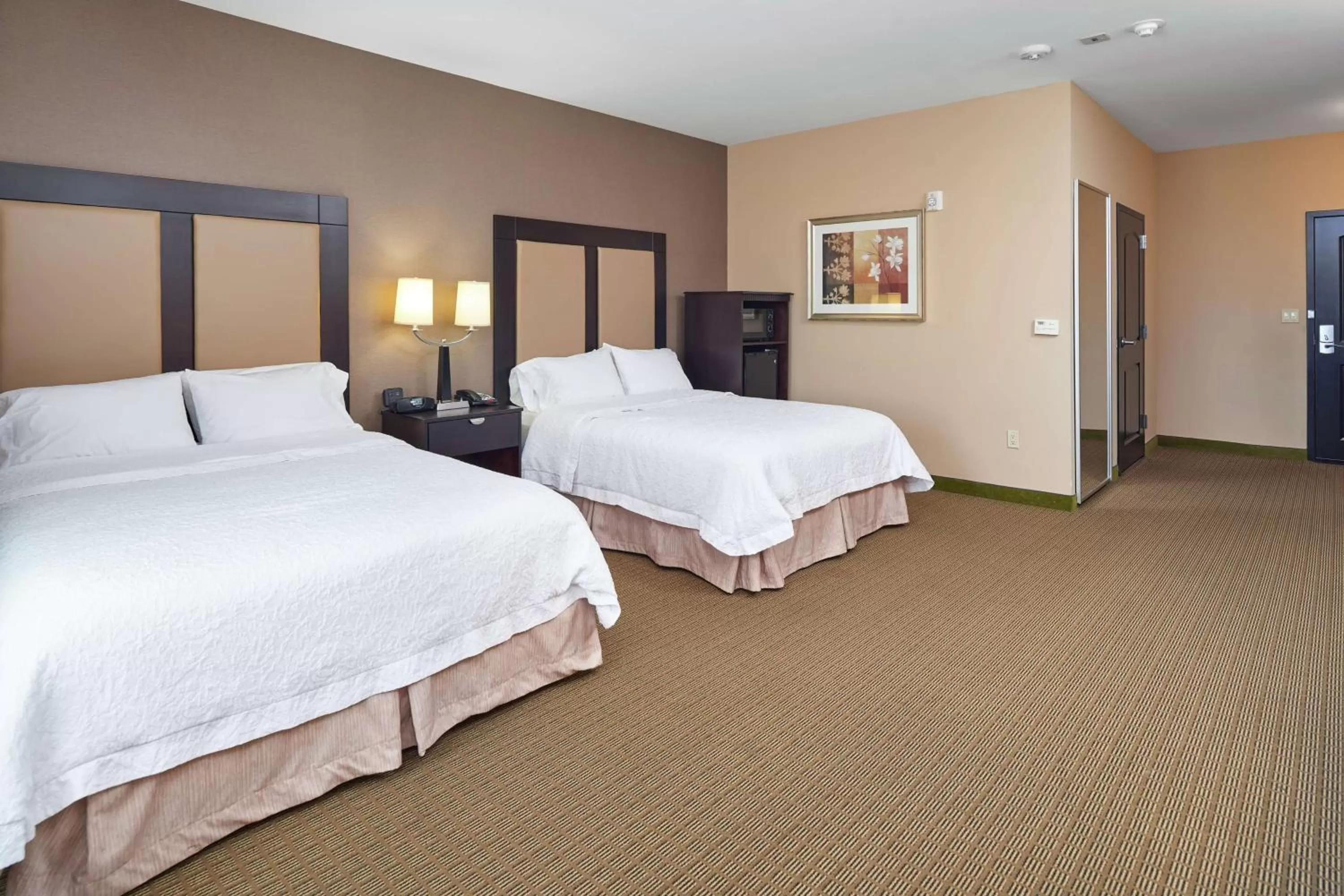 Room with Two Queen Beds - Non-Smoking in Hampton Inn & Suites Decatur