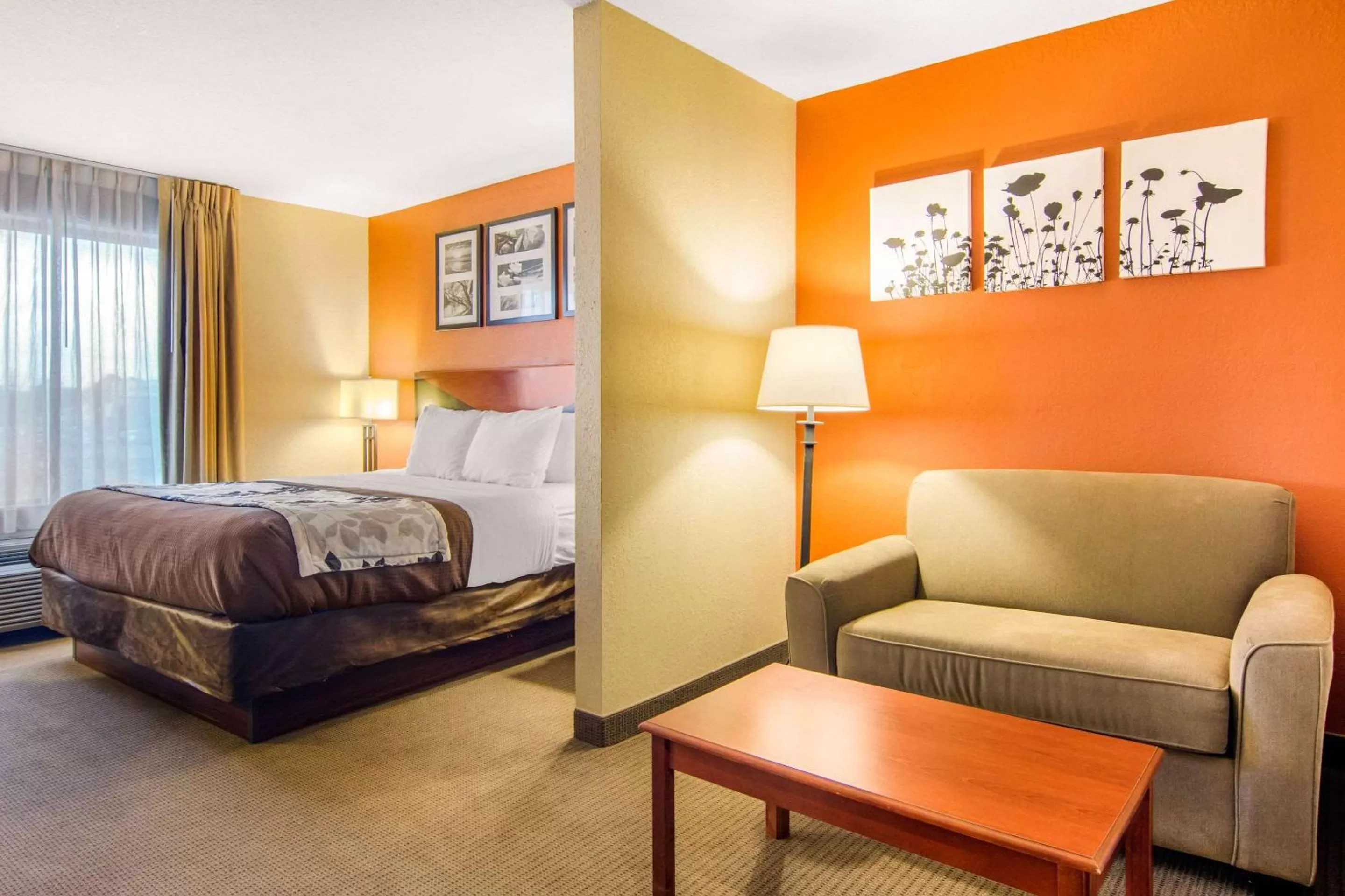 King Suite with Sofa Bed - Non Smoking/Pet Friendly in Sleep Inn & Suites Athens South