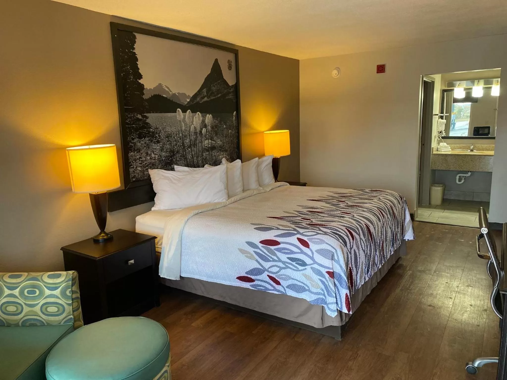 Deluxe King Room Non-Smoking  in Red Roof Inn Savannah North I-95 - Port Wentworth