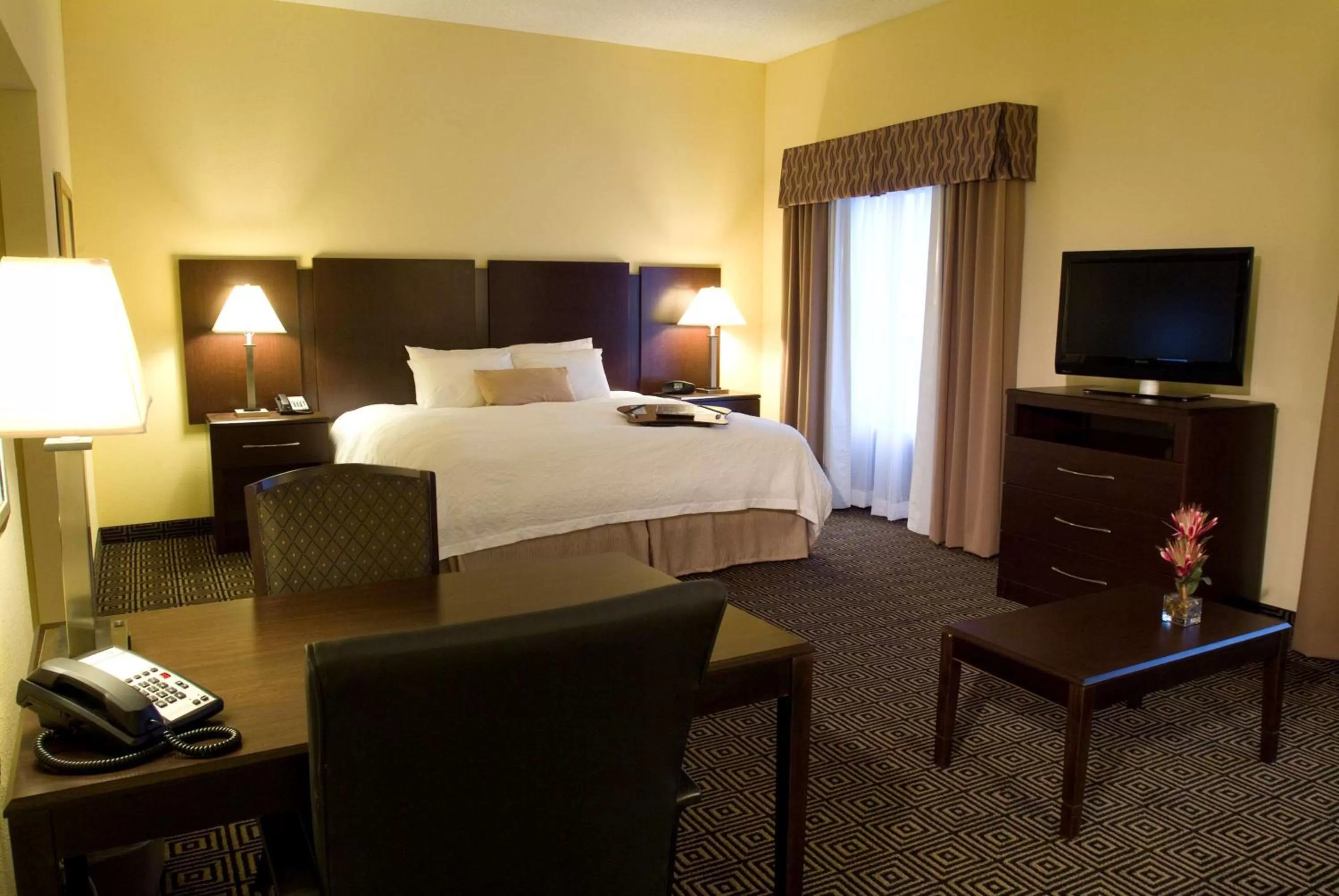 King Studio Suite - Non-Smoking in Hampton Inn & Suites Orlando-John Young Parkway/South Park