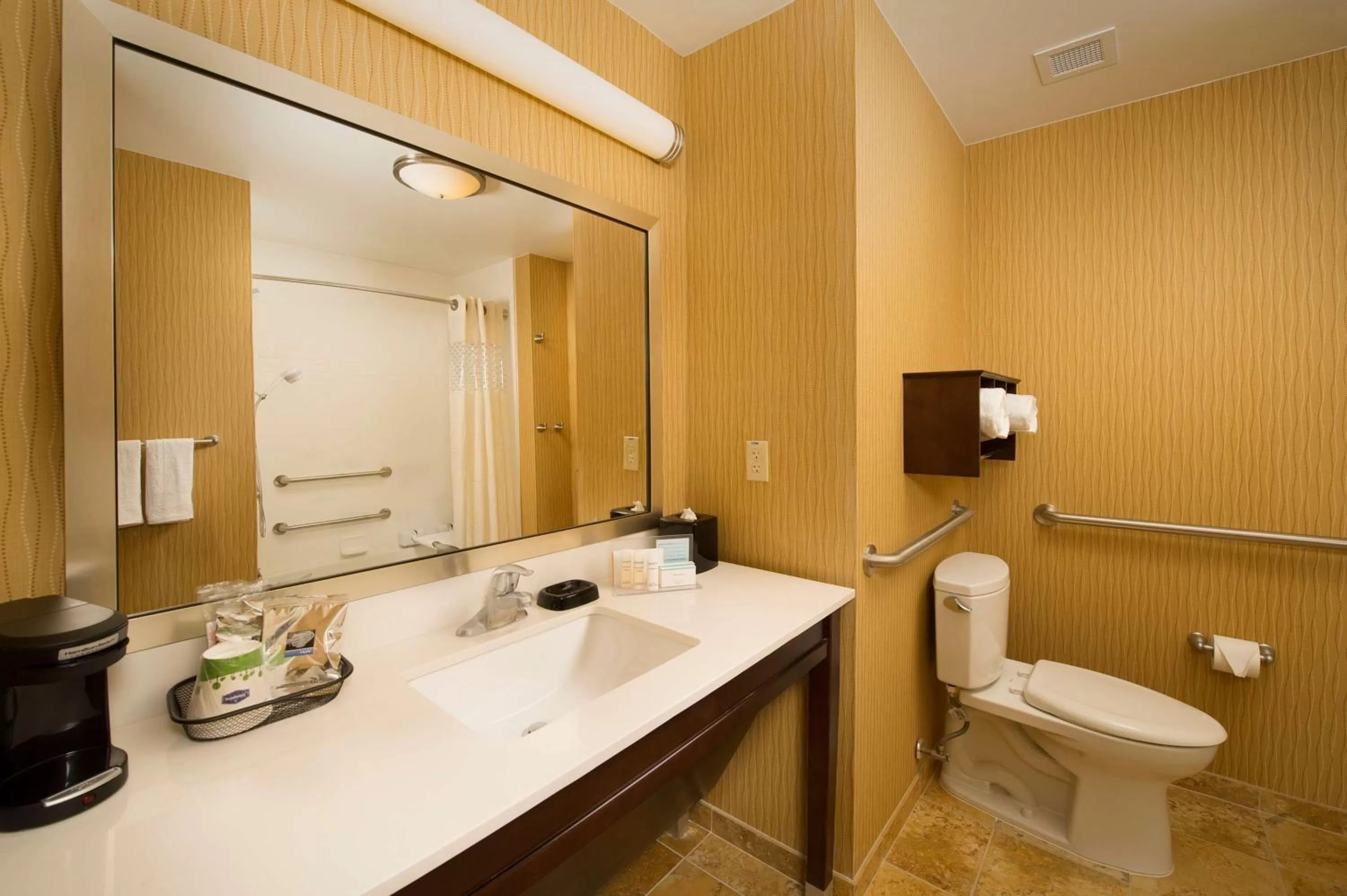 King Room with Bath Tub - Hearing Accessible/Non-Smoking in Hampton Inn Temple