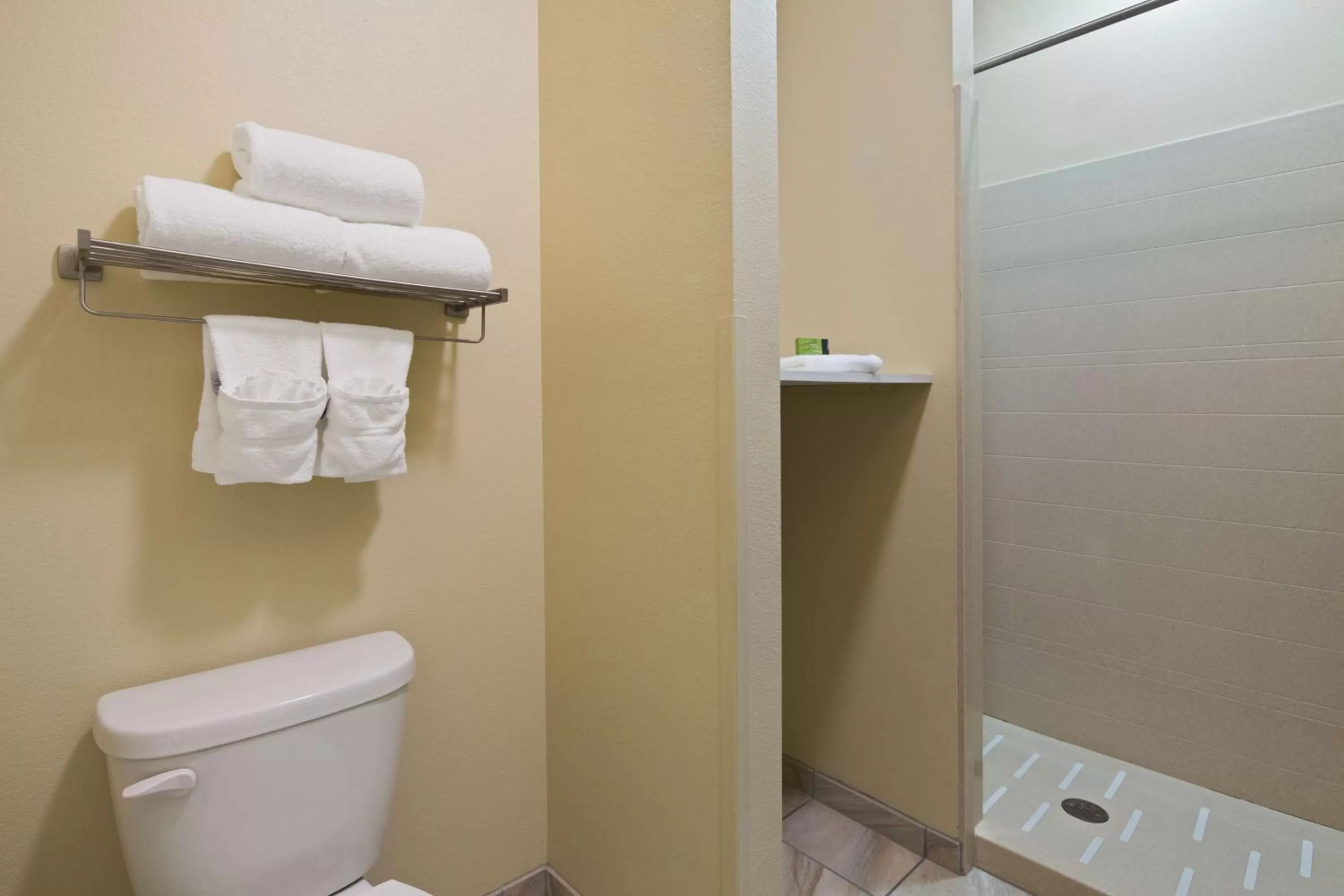 King Room with Roll-In Shower - Disability Access in Best Western Plus Patterson Park Inn