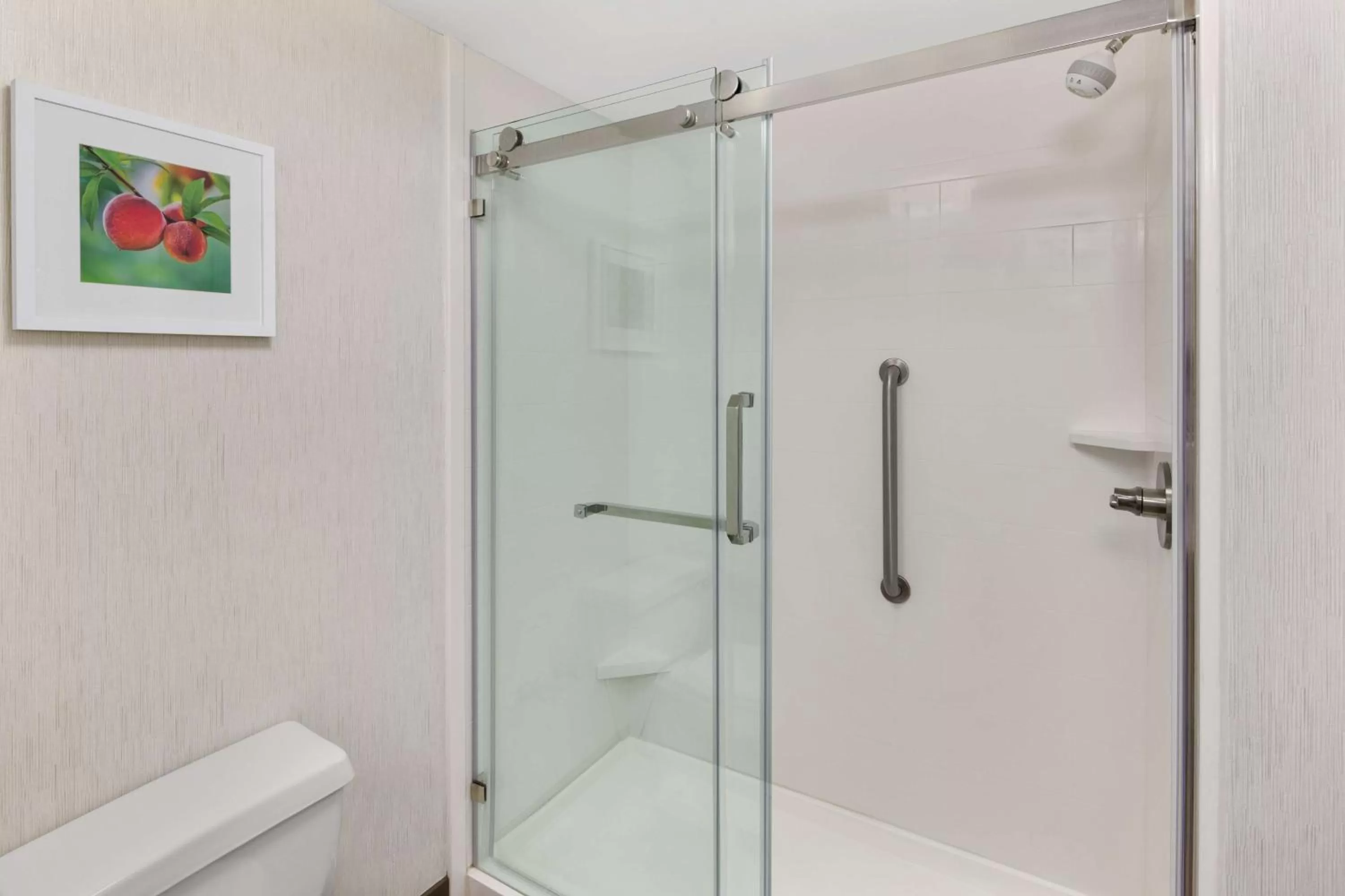 Double Room - Non-Smoking  in Hampton Inn Lagrange near Callaway Gardens