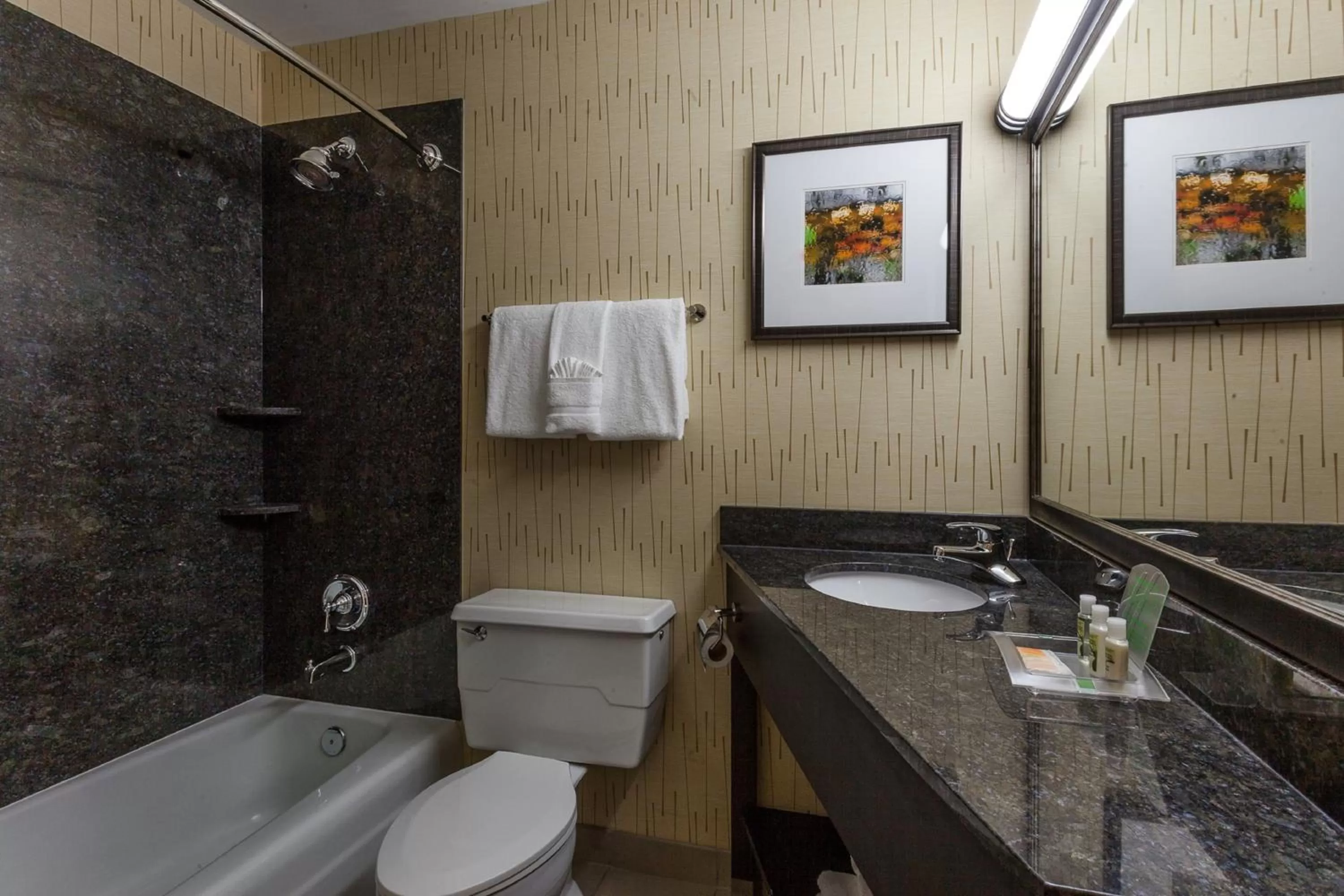 King Room - Mobility Access/Hearing Accessible in Holiday Inn Chicago North-Evanston by IHG