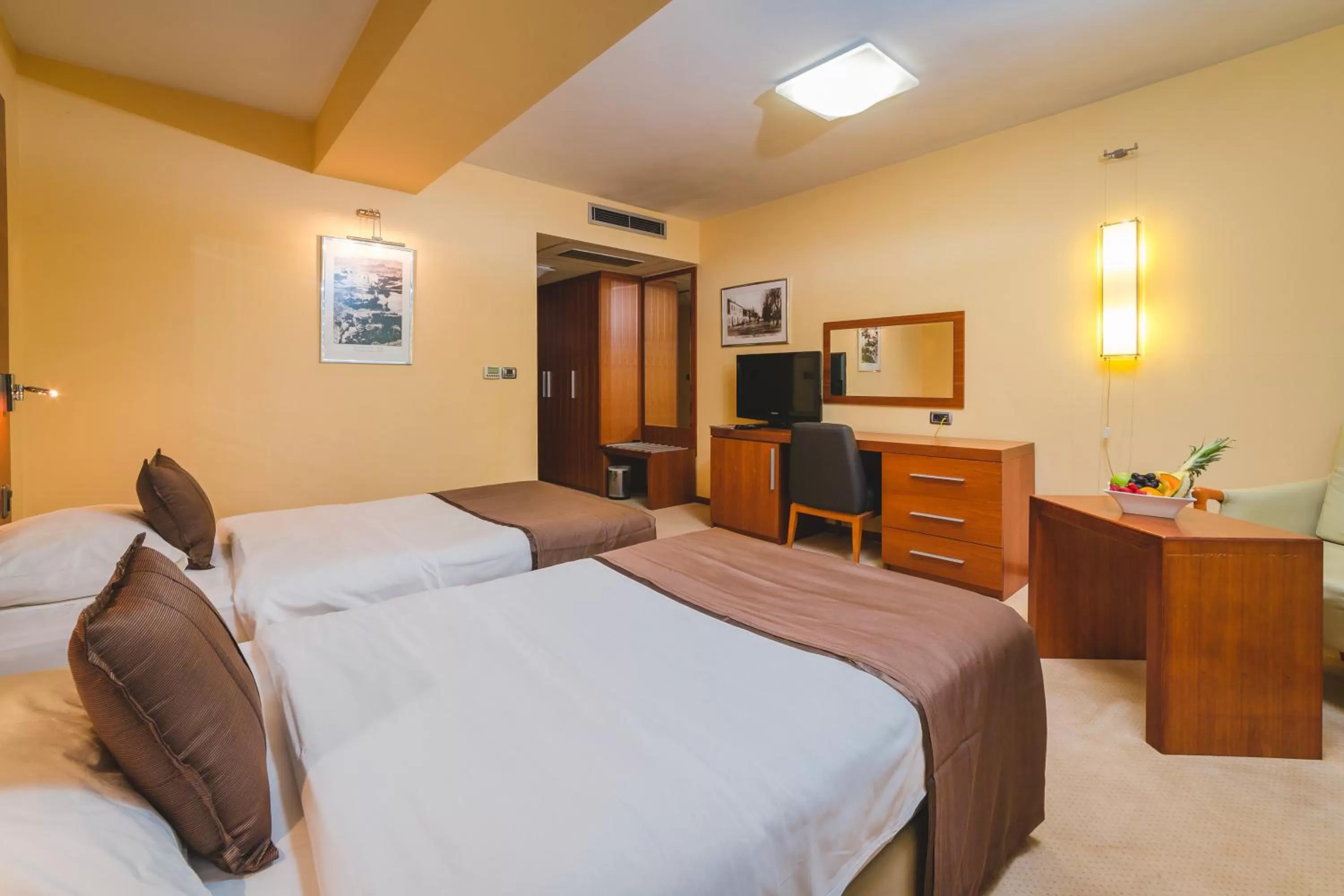 Classic Twin Room - single occupancy in Hotel Podgorica