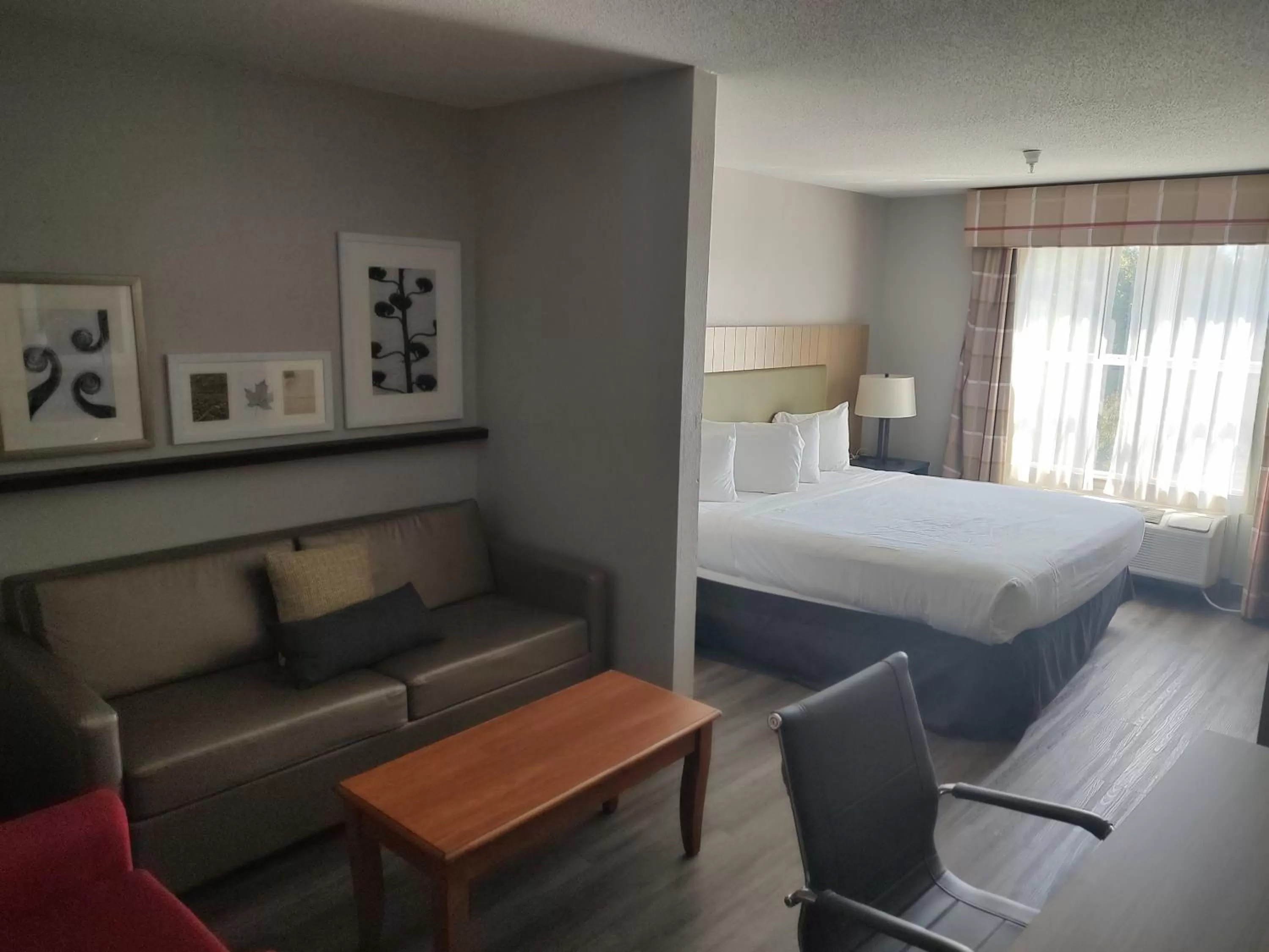 One-Bedroom King Suite - Non-Smoking in Country Inn & Suites by Radisson, Hinesville, GA