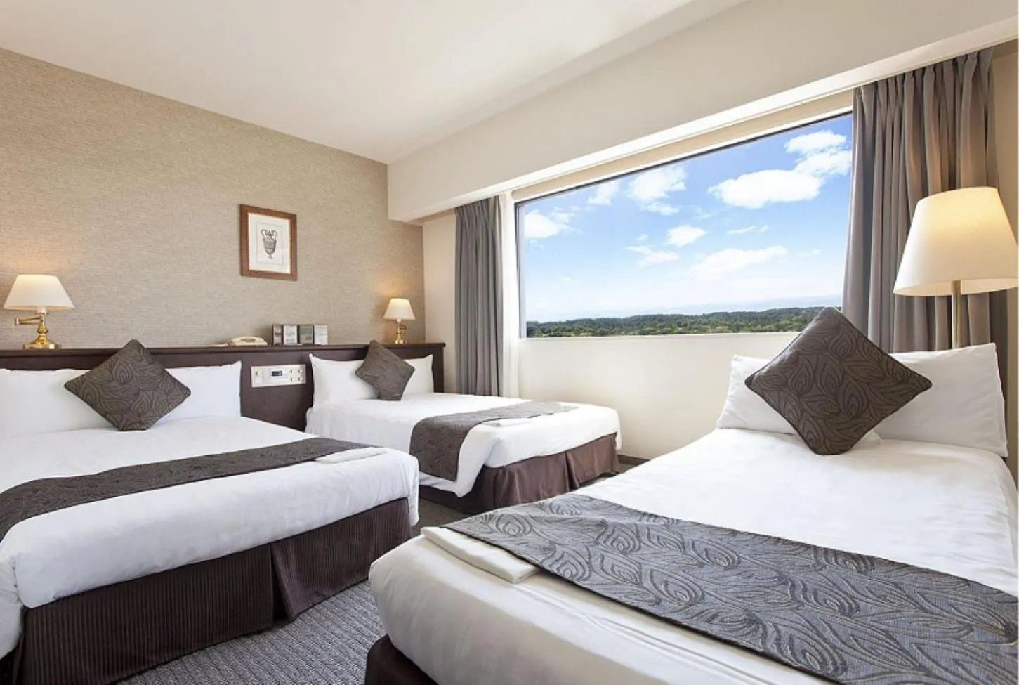 Triple Room - Non-Smoking in Hotel Francs