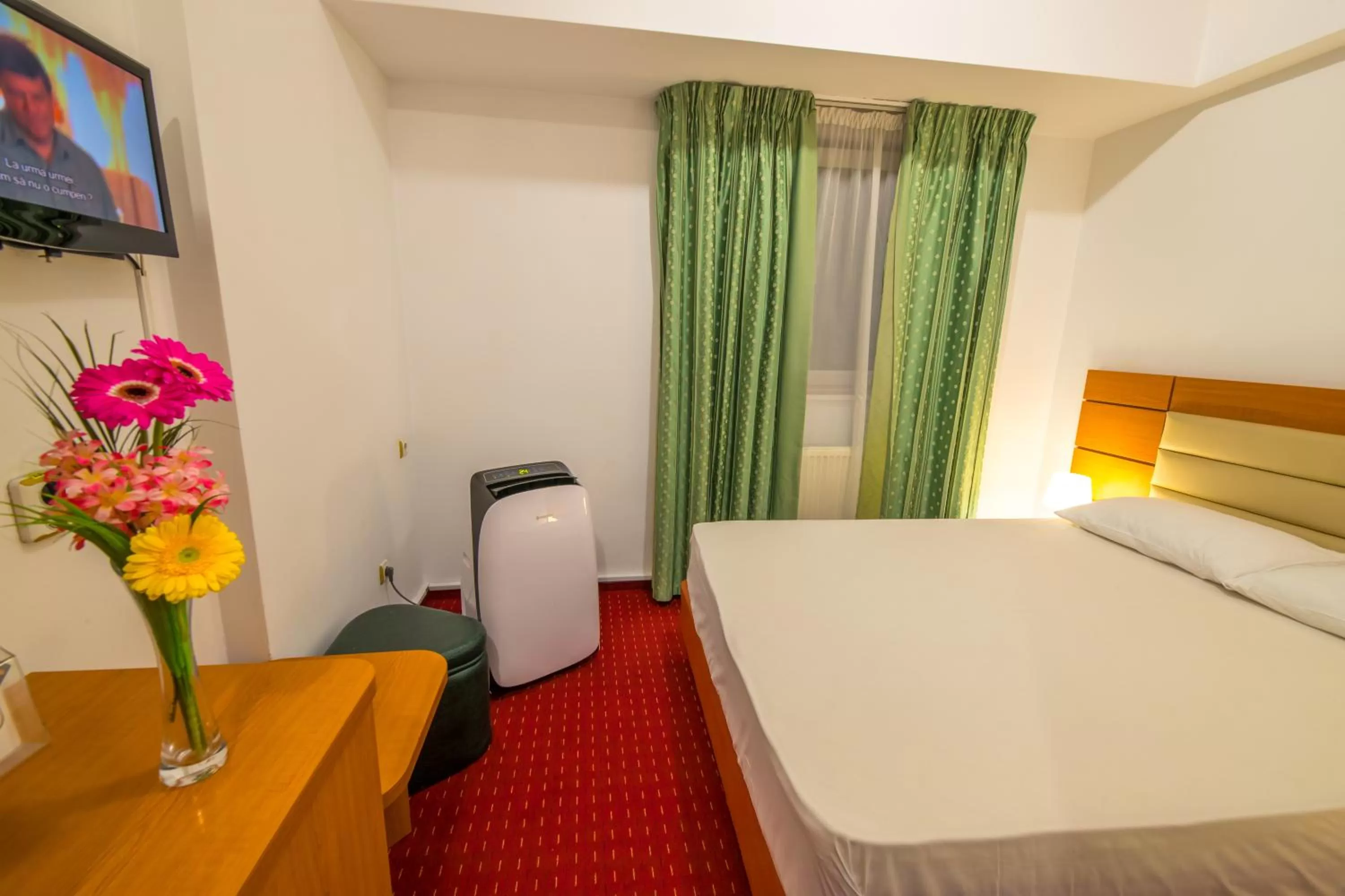 Standard Double Room - single occupancy in Hotel Sir Orhideea