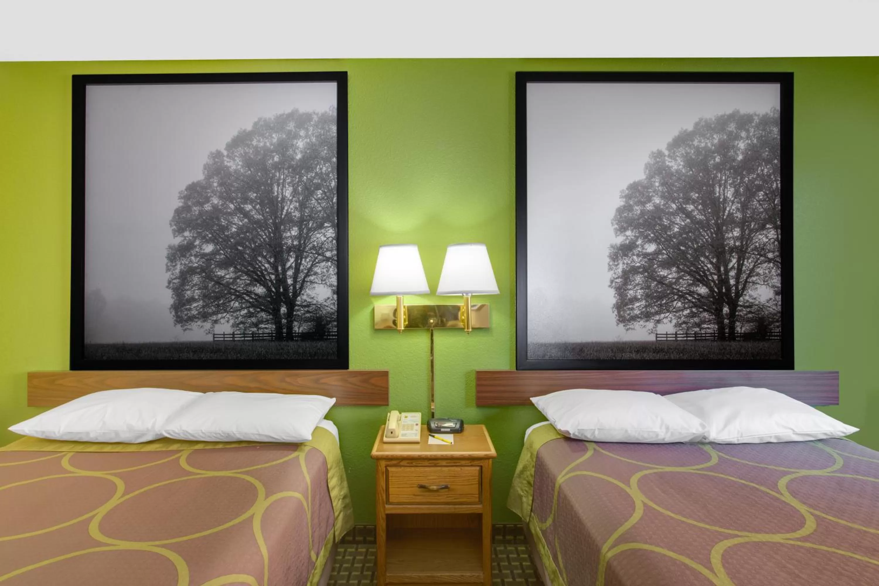 Deluxe Double Room with Two Double Beds - Non-Smoking in Super 8 by Wyndham Radford VA