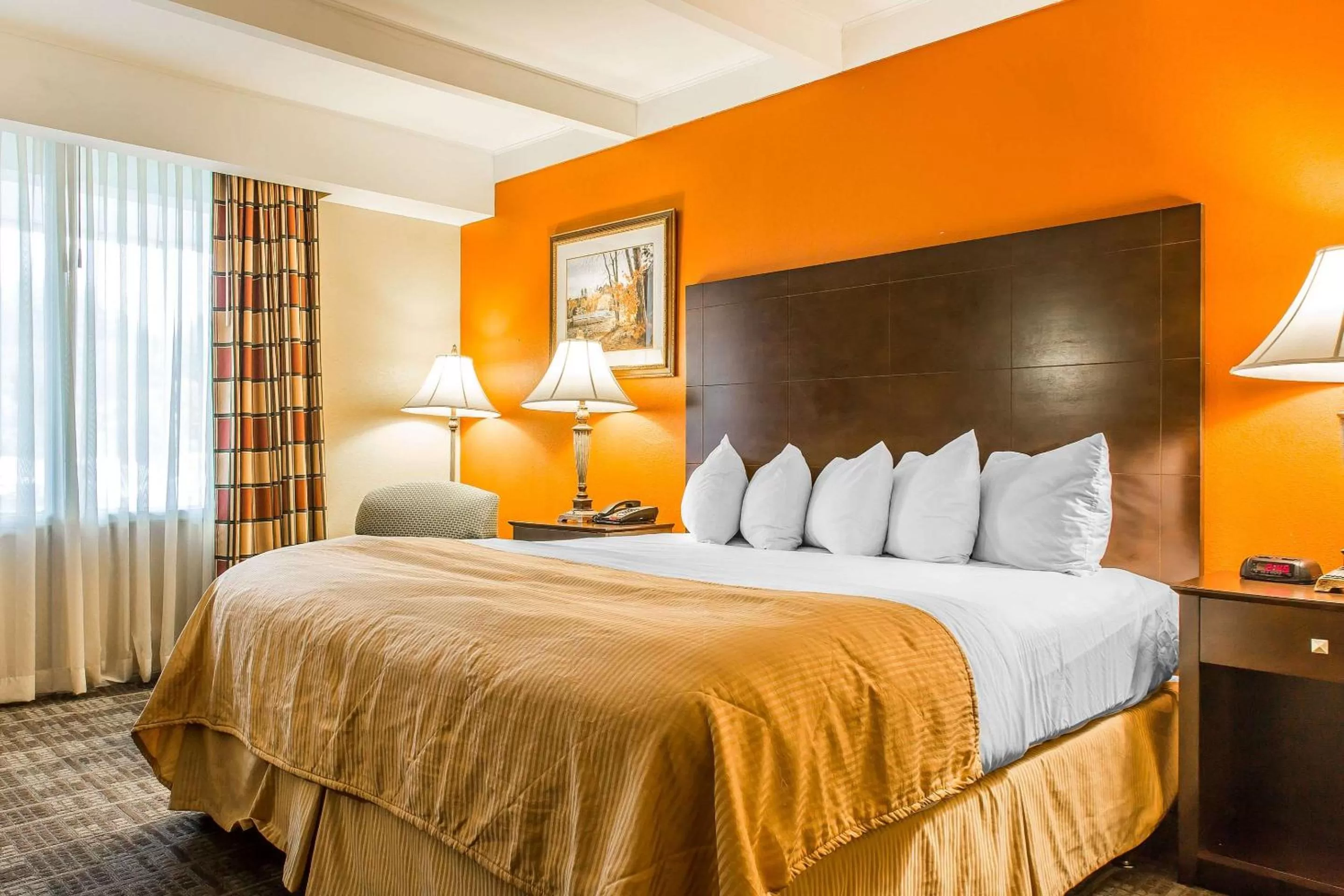 King Room - Non-Smoking in Hamden Hotel and Suites