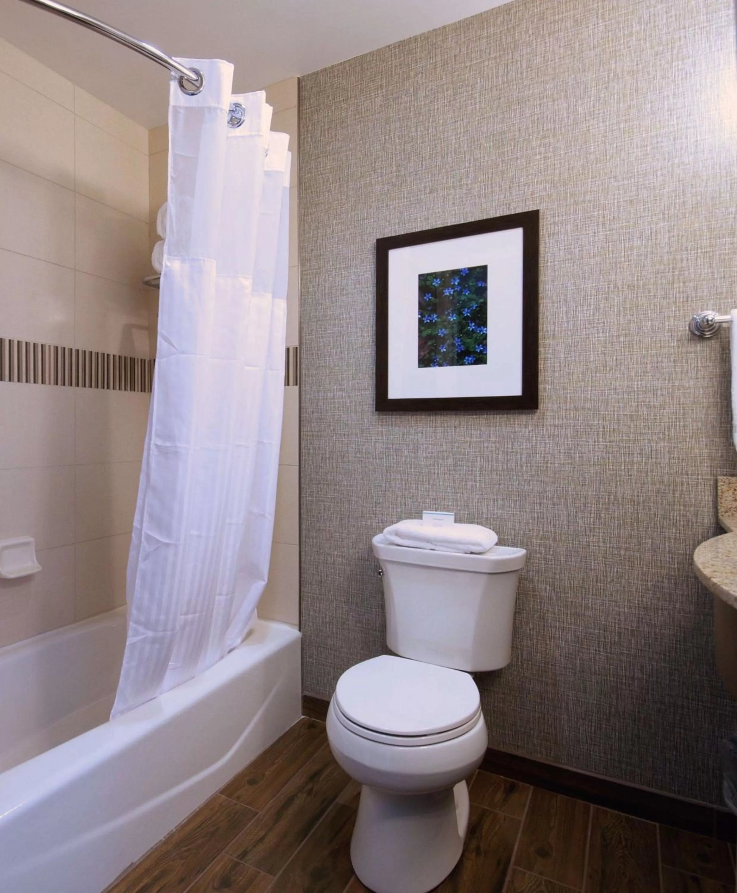 One-Bedroom King Suite in Hilton Garden Inn Hickory