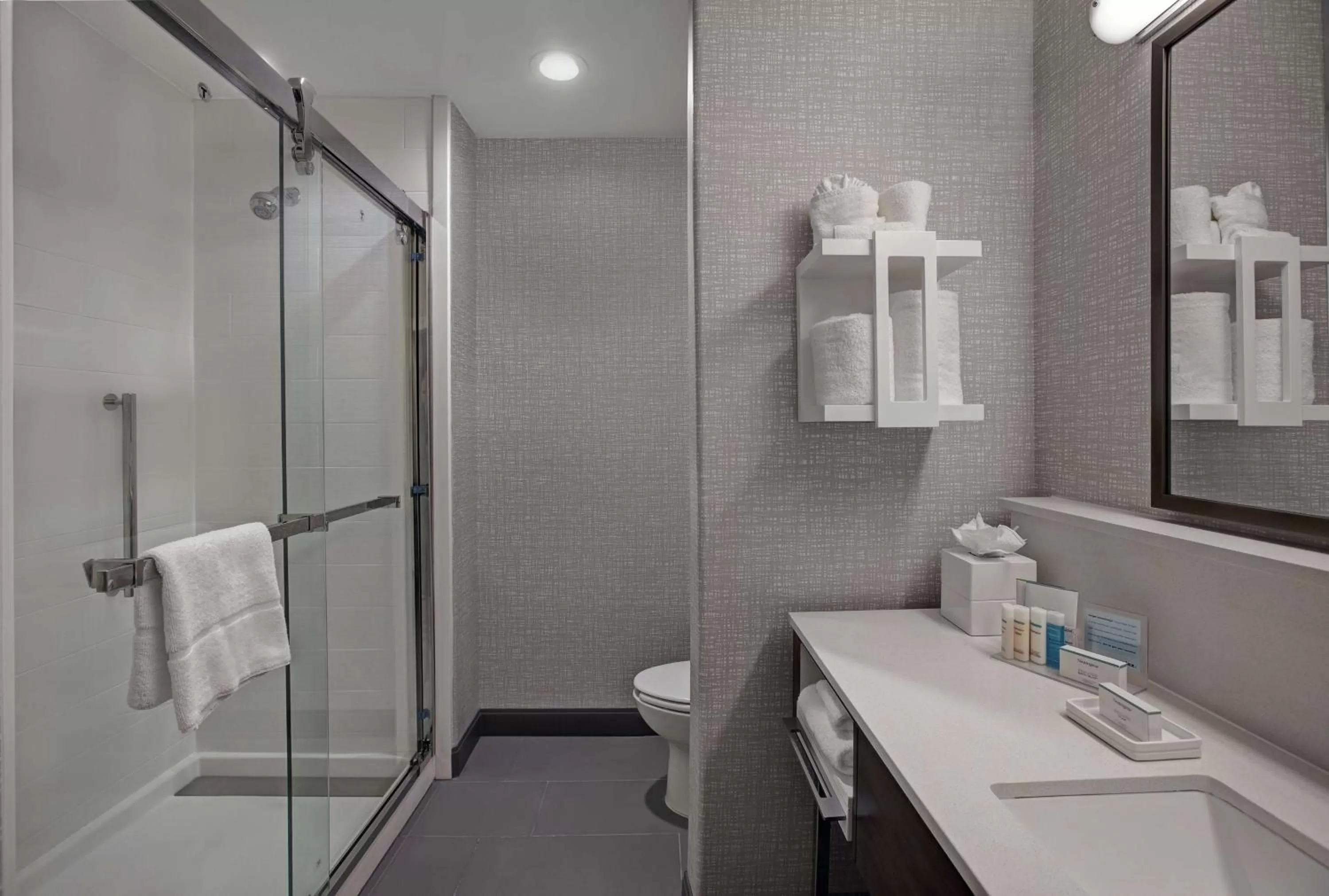 King Room with Sofa Bed - Non-Smoking in Hampton Inn Weslaco