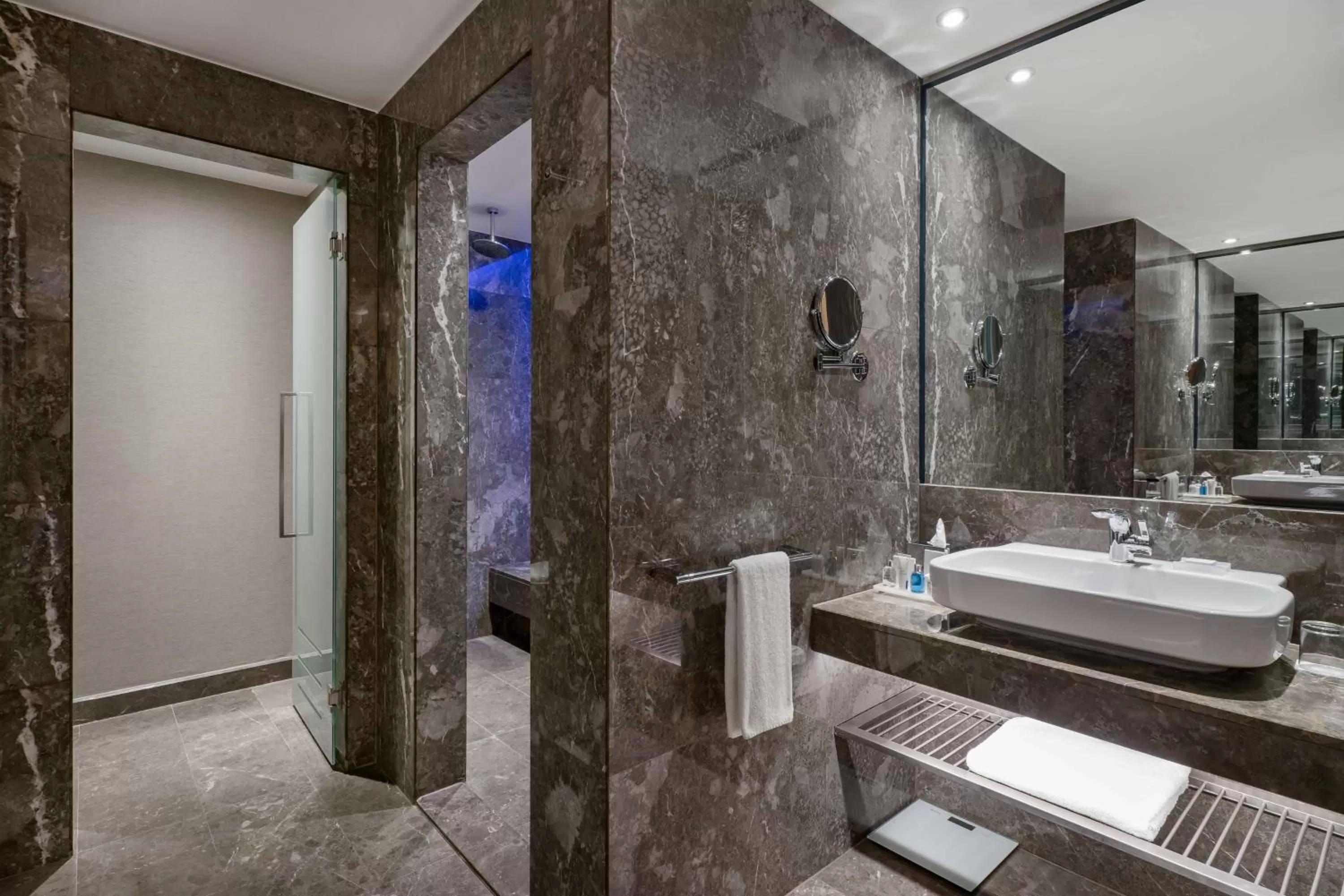 Suite with Sauna and Terrace  in Radisson Blu Hotel & Spa, Istanbul Tuzla