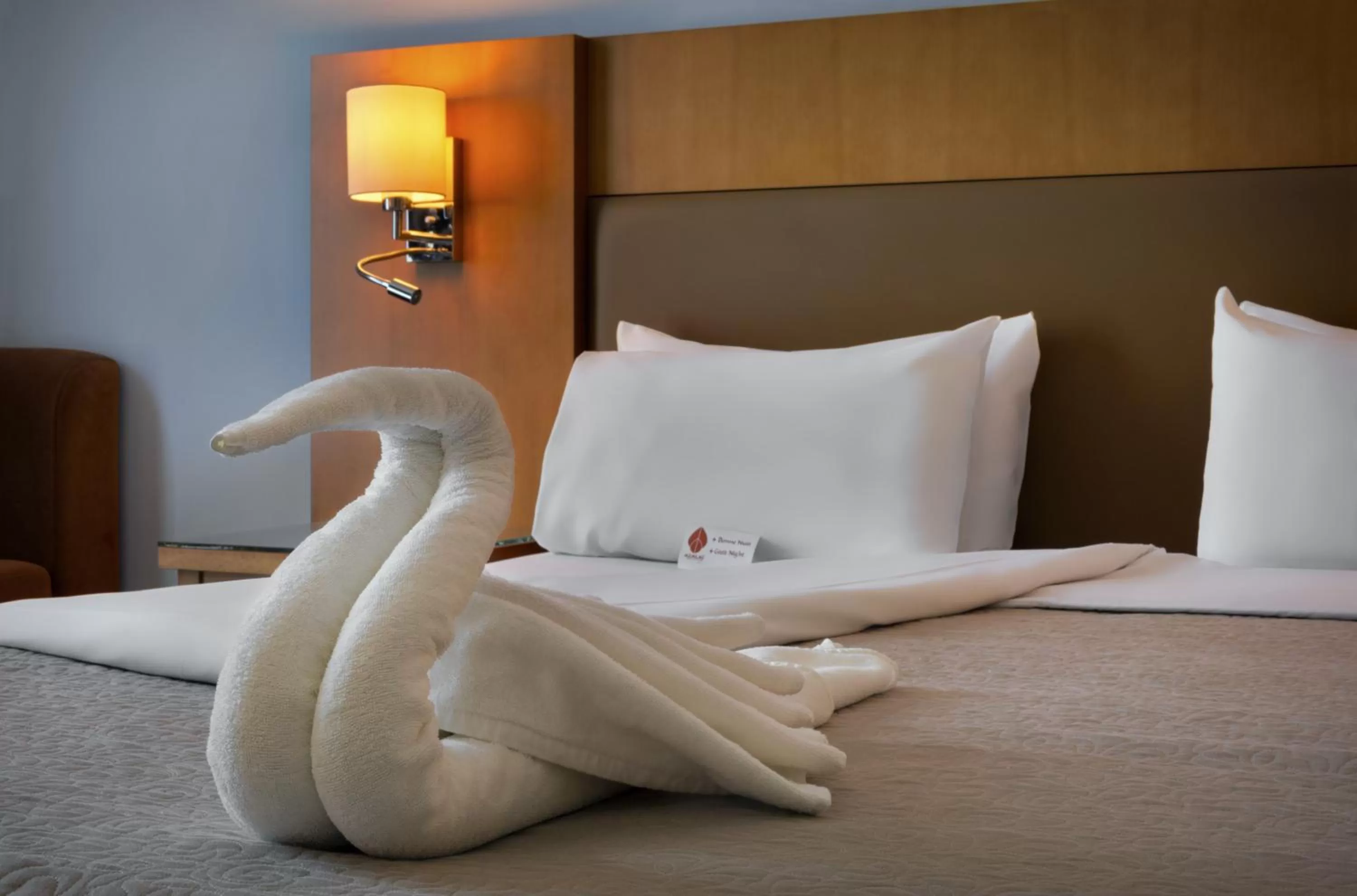 Double Room with Sea View in Azalaï Hôtel Cotonou