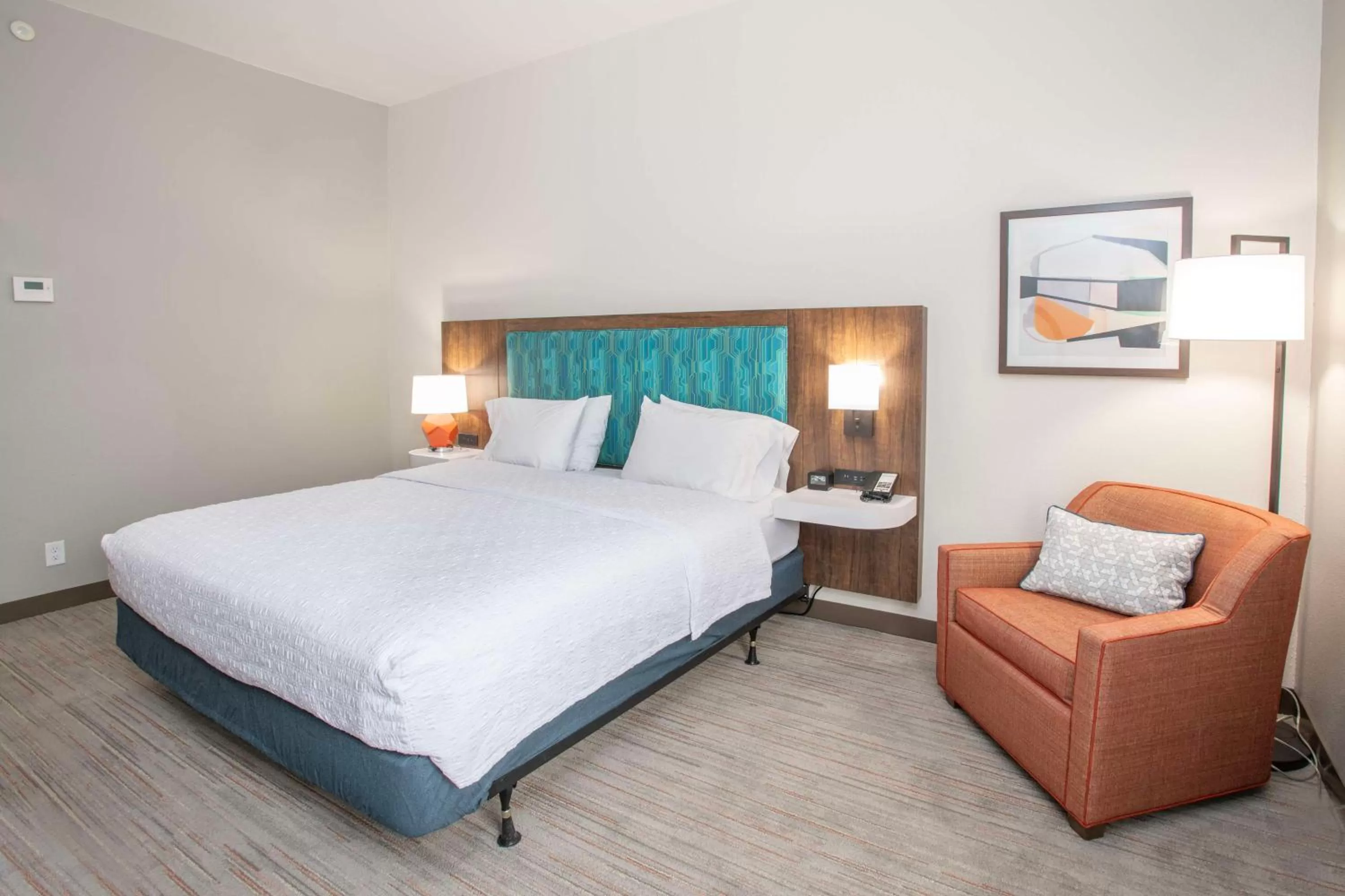 King Room with Roll-In Shower - Mobility and Hearing Access/Non-Smoking in Hampton Inn Dry Ridge