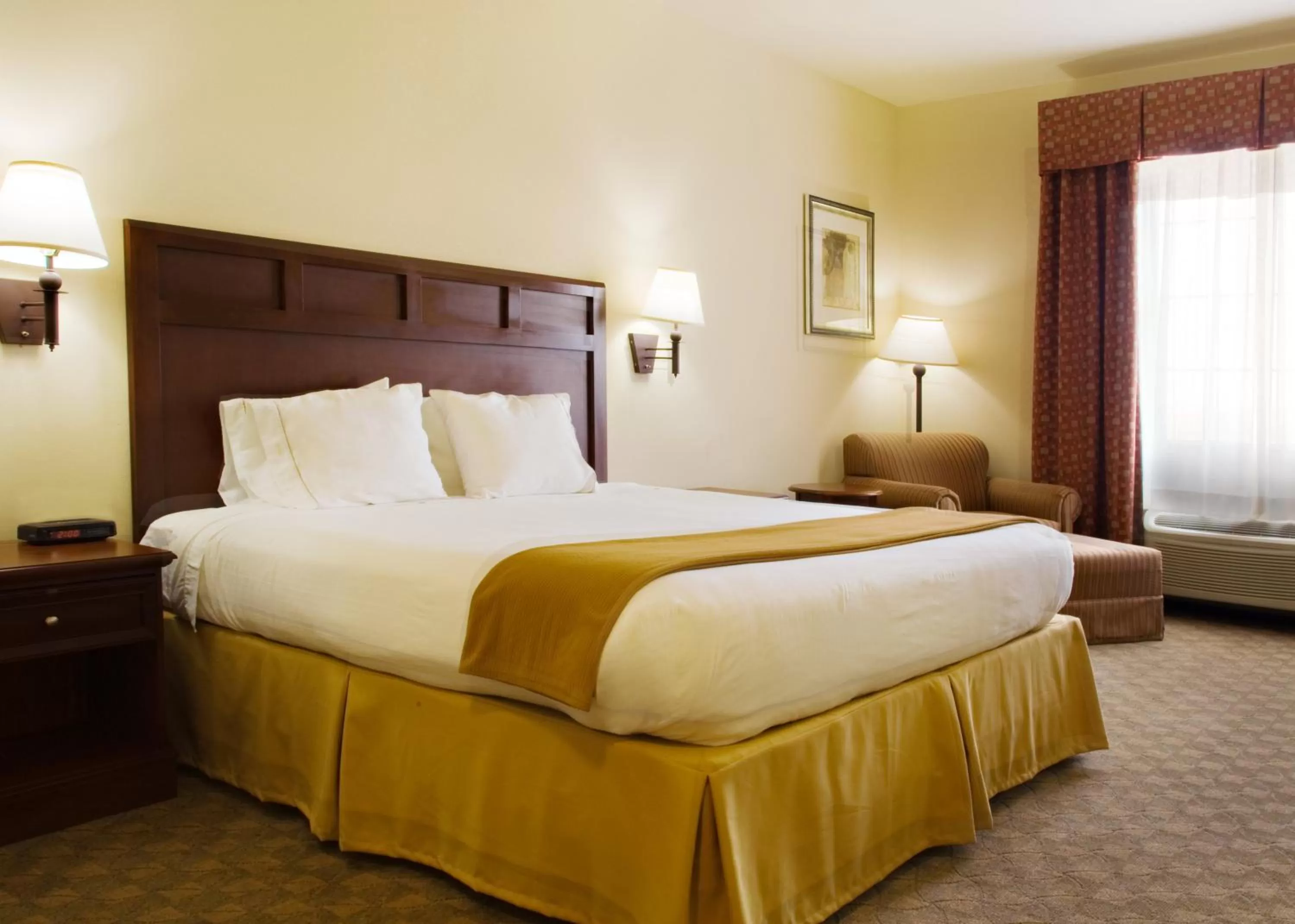 Standard King Room in Holiday Inn Express Hotel & Suites Levelland by IHG