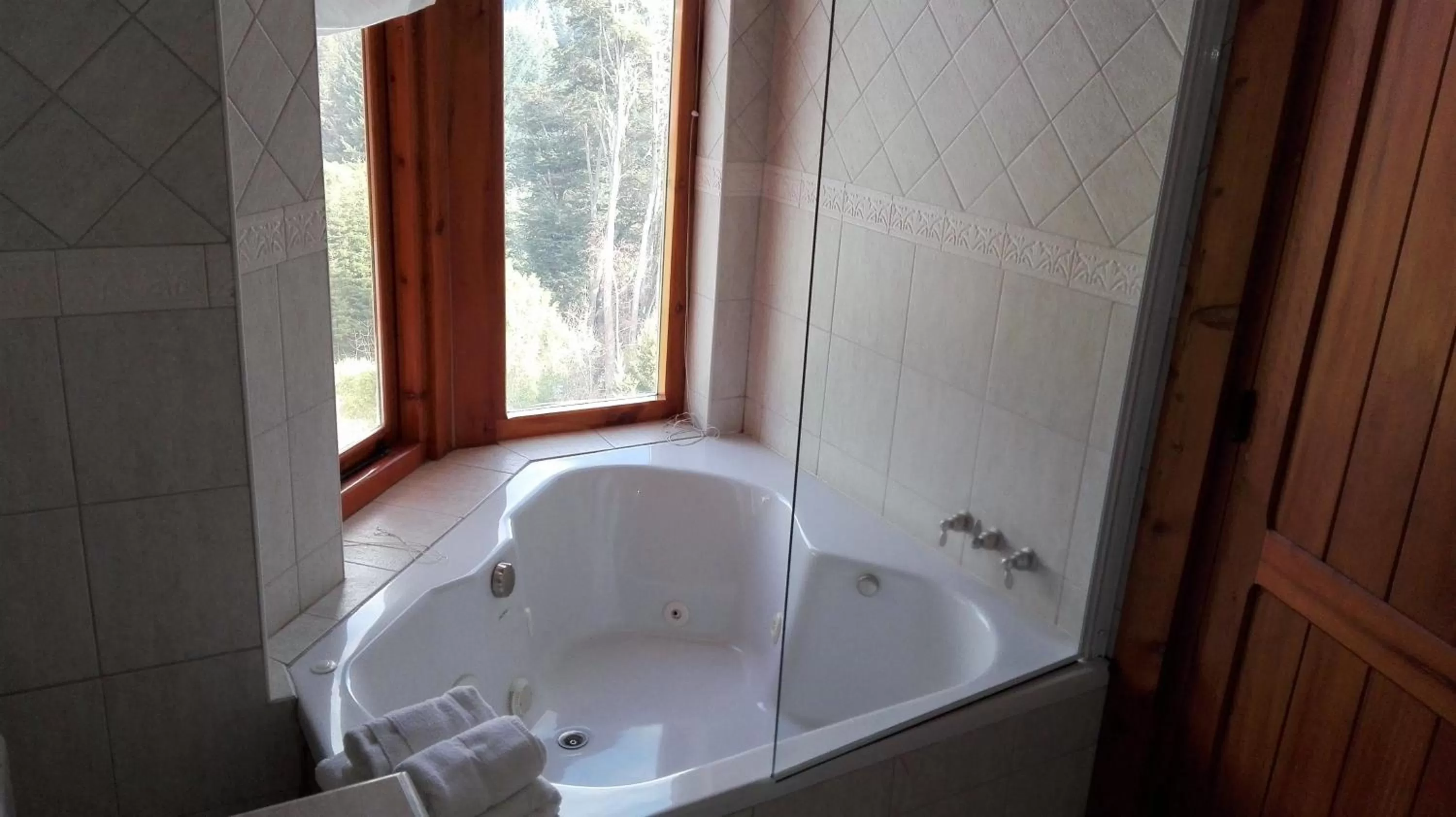 Suite in Amigos del Bosque