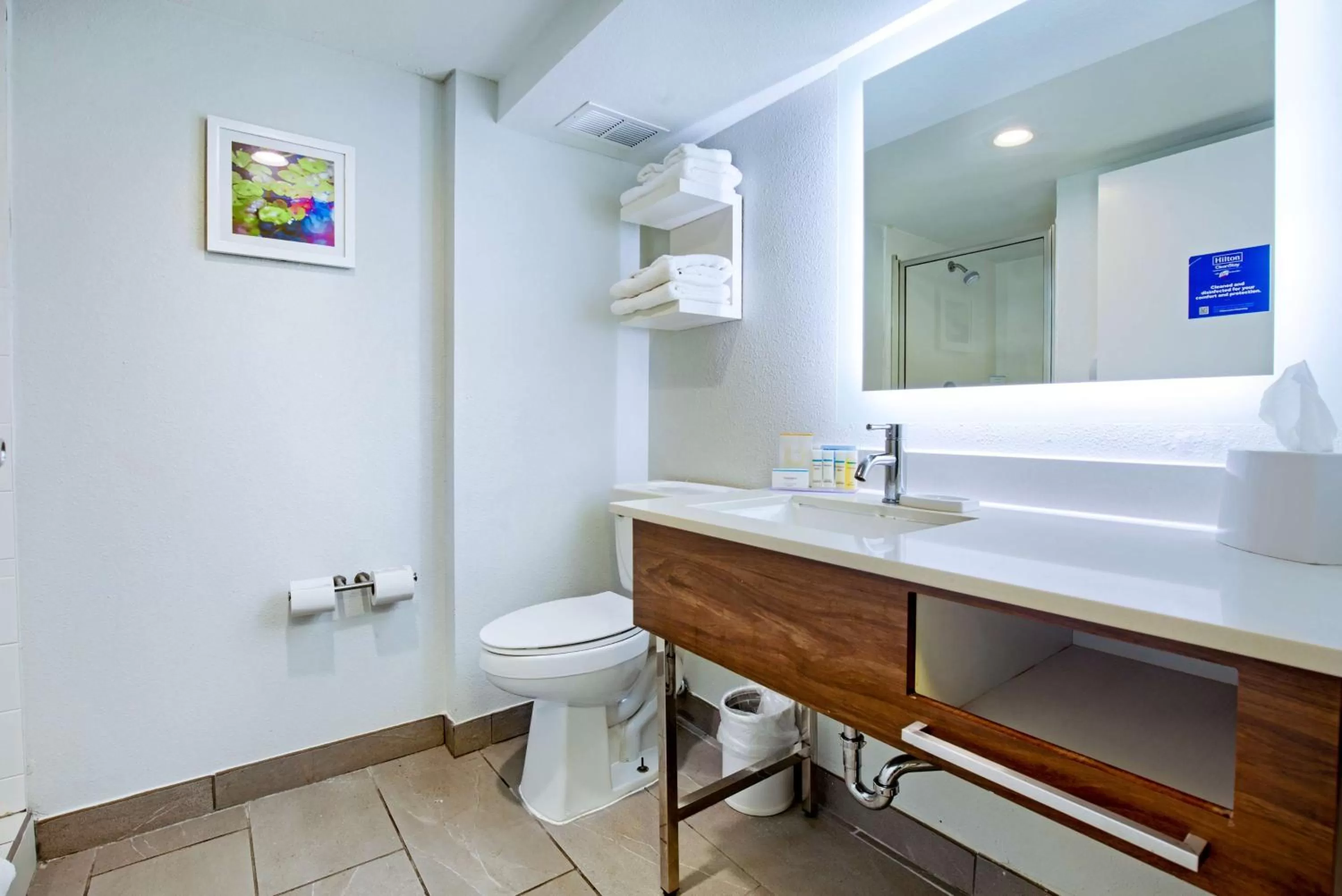 King Room - Mobility/Hearing Accessible - Non-Smoking in Hampton Inn Slidell