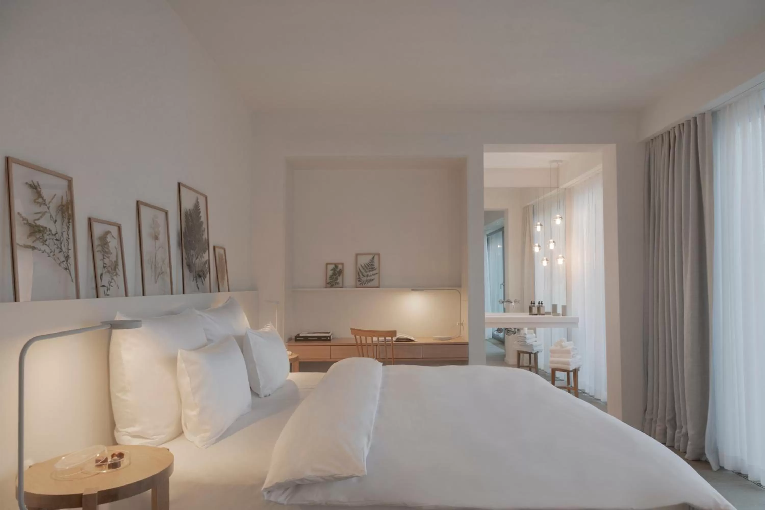 Suite Compact in Wilmina Hotel