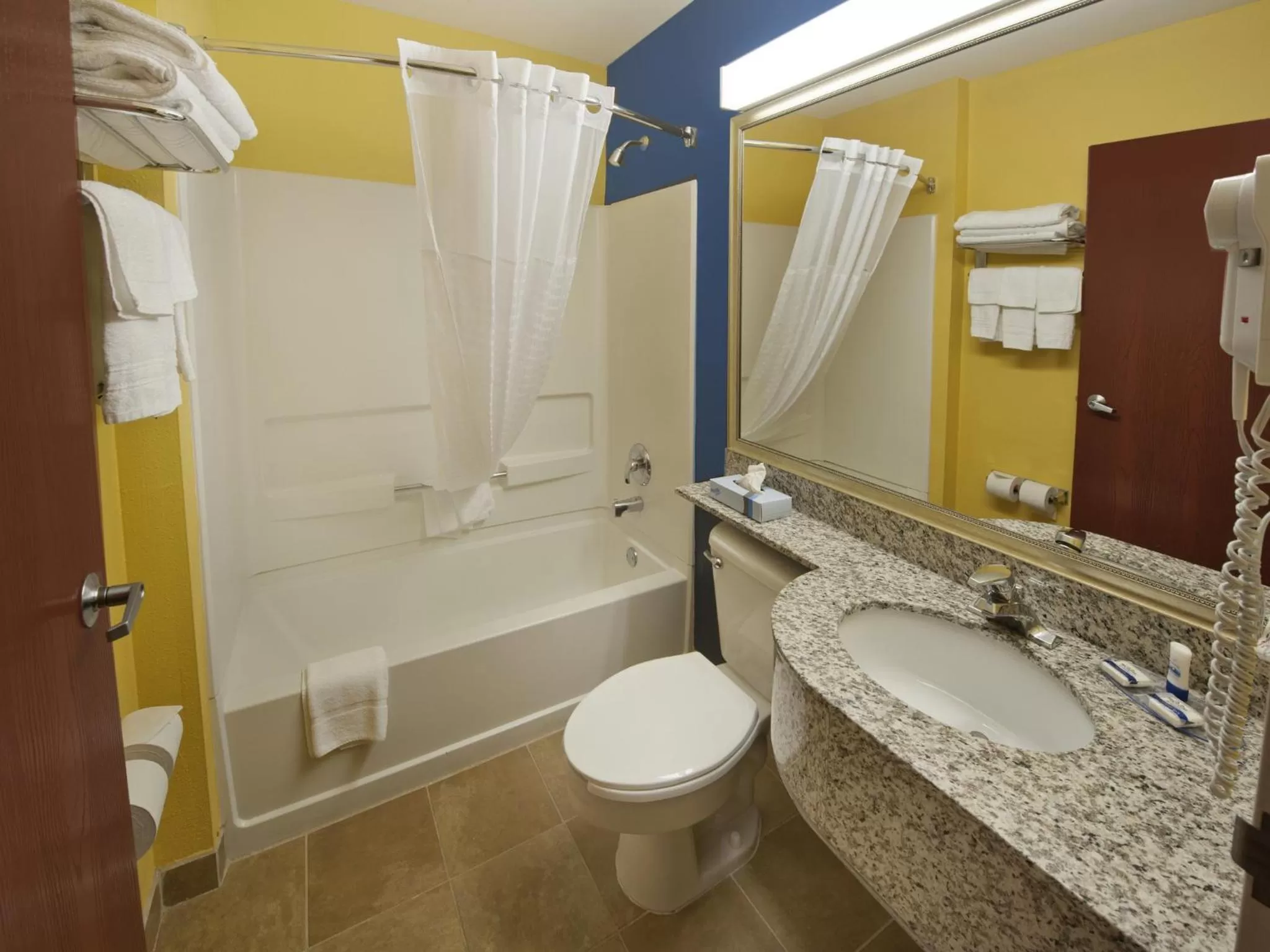 Queen Suite - Non-Smoking in Microtel Inn & Suites by Wyndham Hillsborough