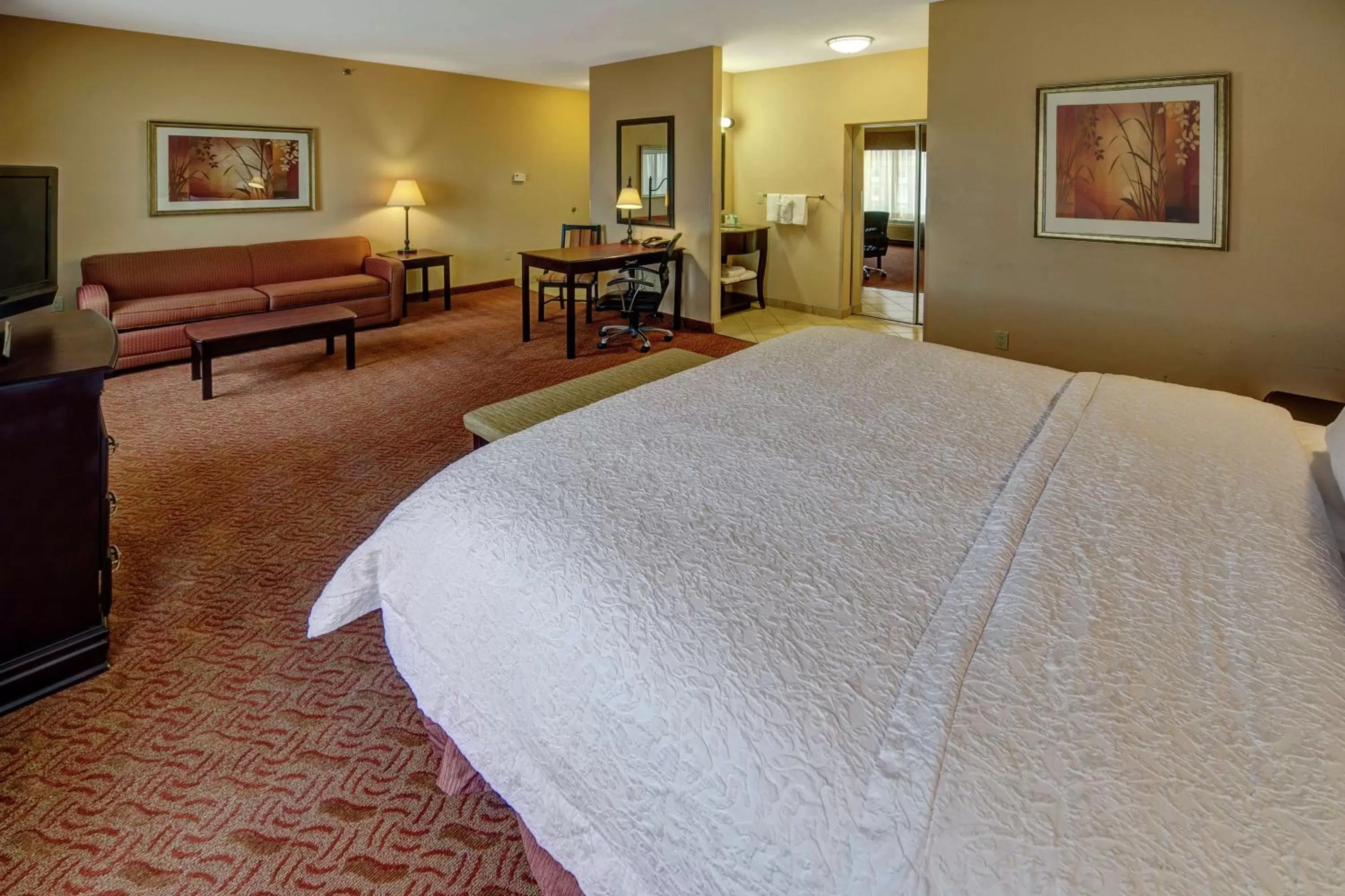 King Studio with Sofa Bed - Non-Smoking in Hampton Inn & Suites Corsicana