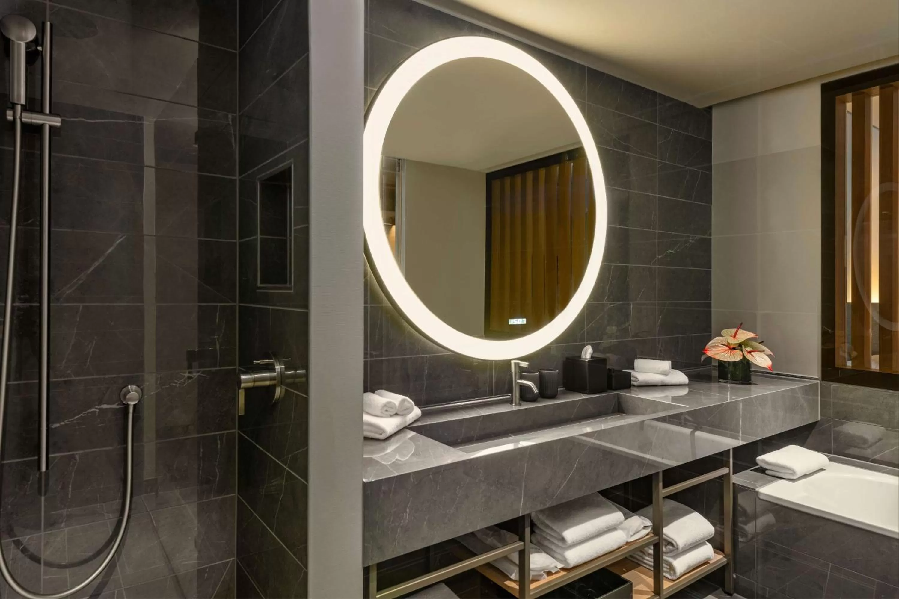 Executive Suite in Hyatt Regency Zurich Airport Circle