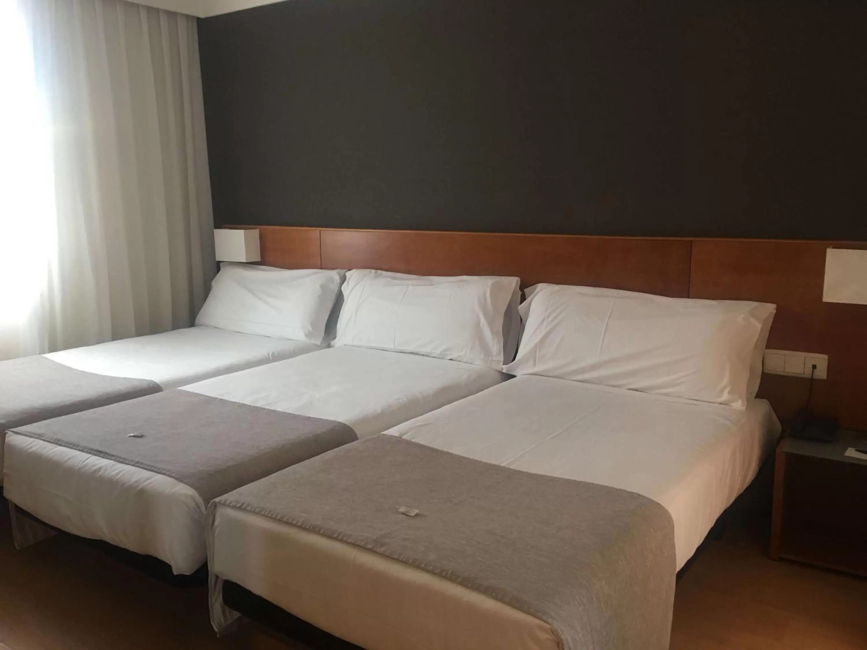Triple Room in Zenit Logroño