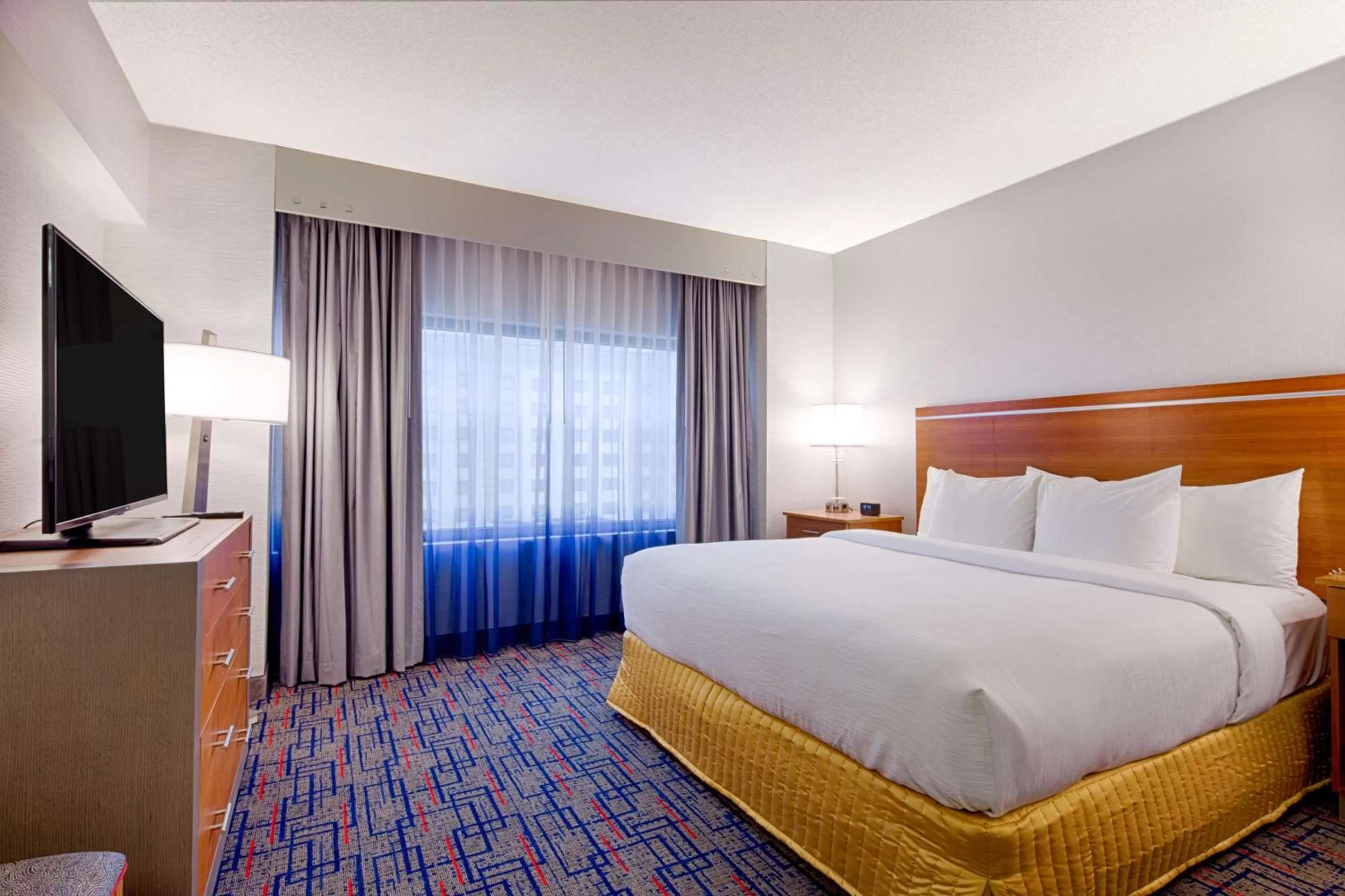 Two-Room King Suite - Non-Smoking in Embassy Suites by Hilton Chicago O'Hare Rosemont
