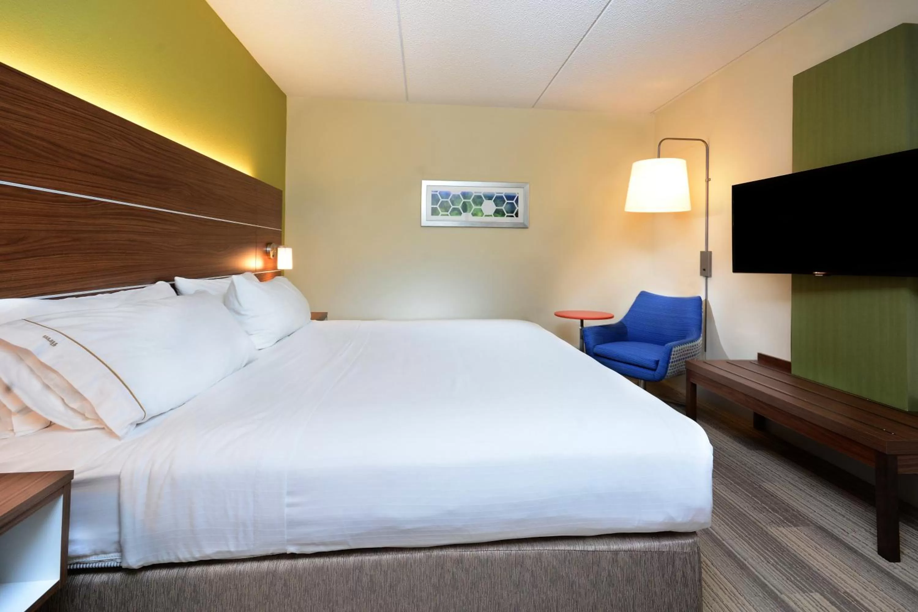 Deluxe King Room - Hearing Accessible  in Holiday Inn Express & Suites Raleigh Durham Airport at RTP by IHG
