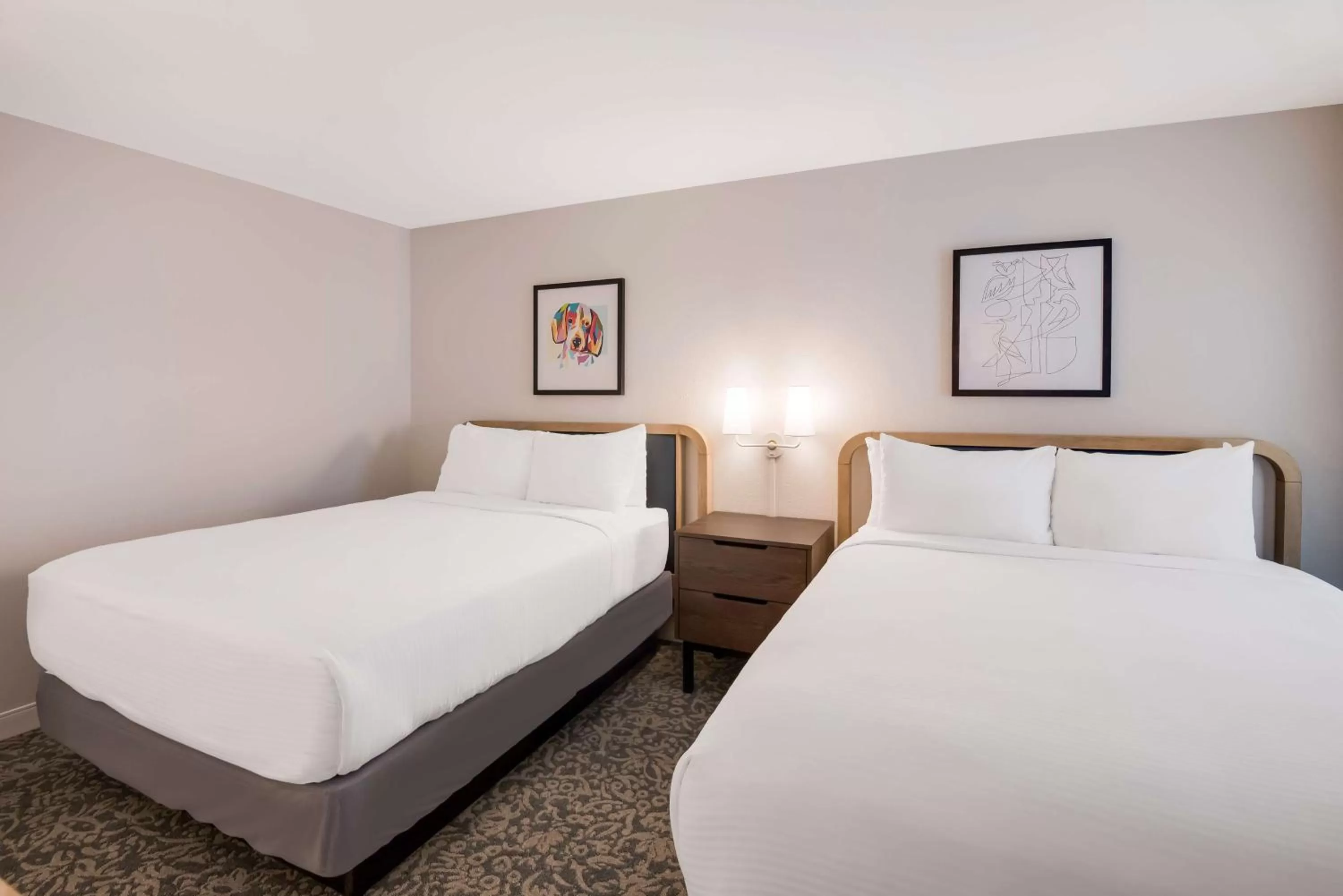 Two Bedroom King Suite - Mobility Accessible Tub in Sonesta ES Suites Andover Boston