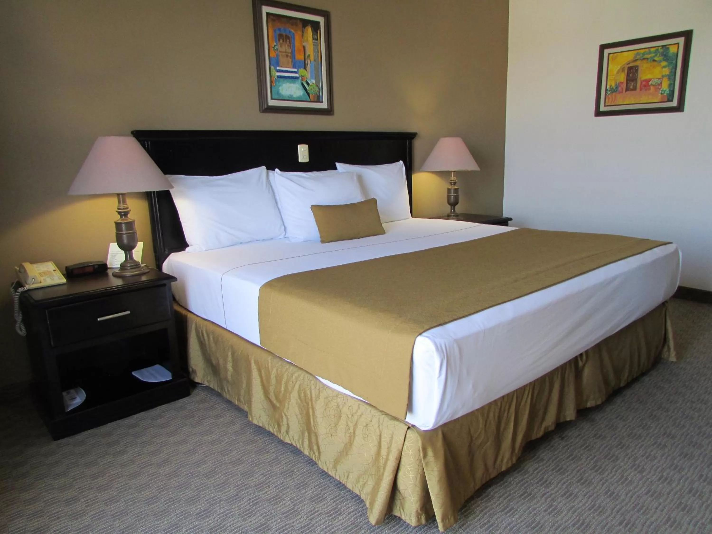 King Room - Non-Smoking in Best Western Hotel Posada Del Rio Express