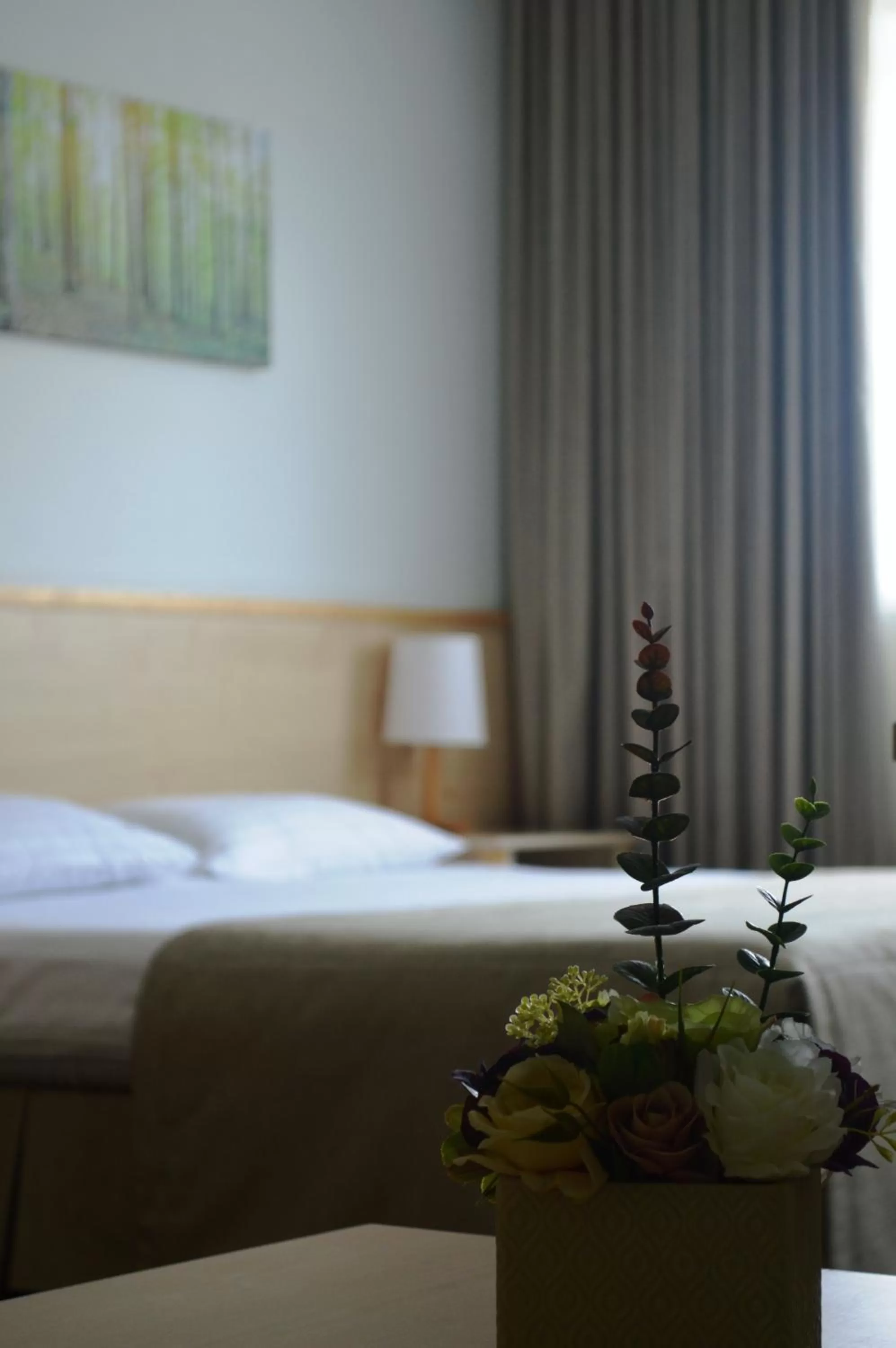 Business Friendly Room - single occupancy in Green Park Hotel Klaipeda