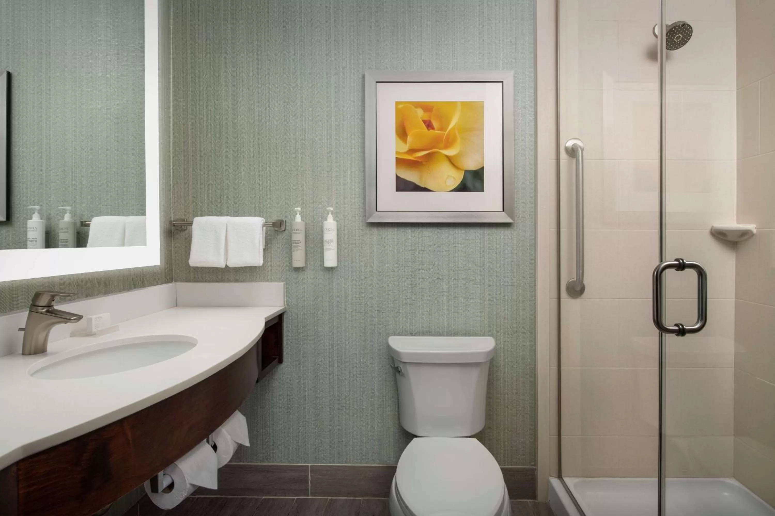 King Room in Hilton Garden Inn Murfreesboro