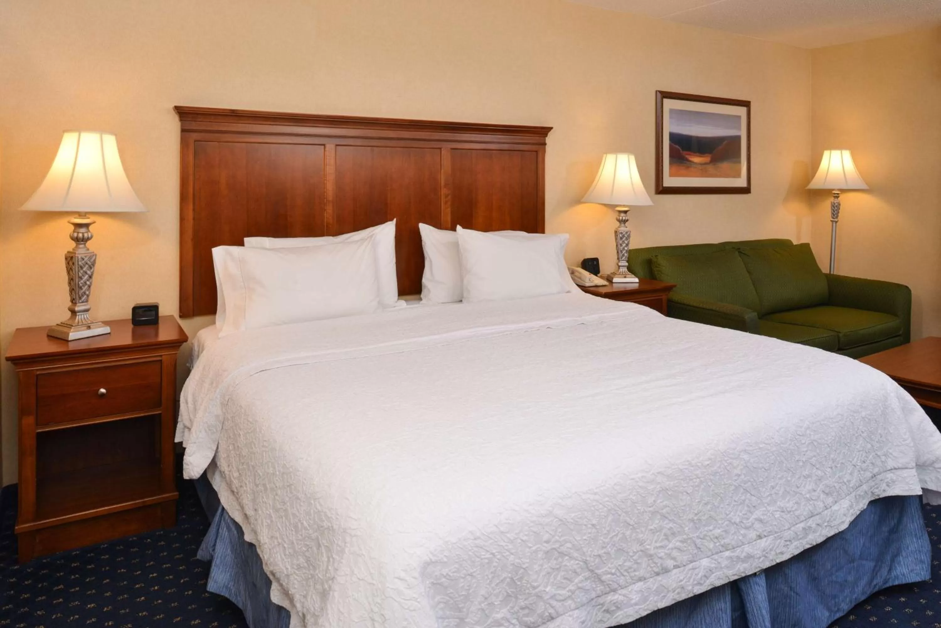 King Room with Sofa Bed and Study - Non-Smoking in Hampton Inn and Suites Fredericksburg South