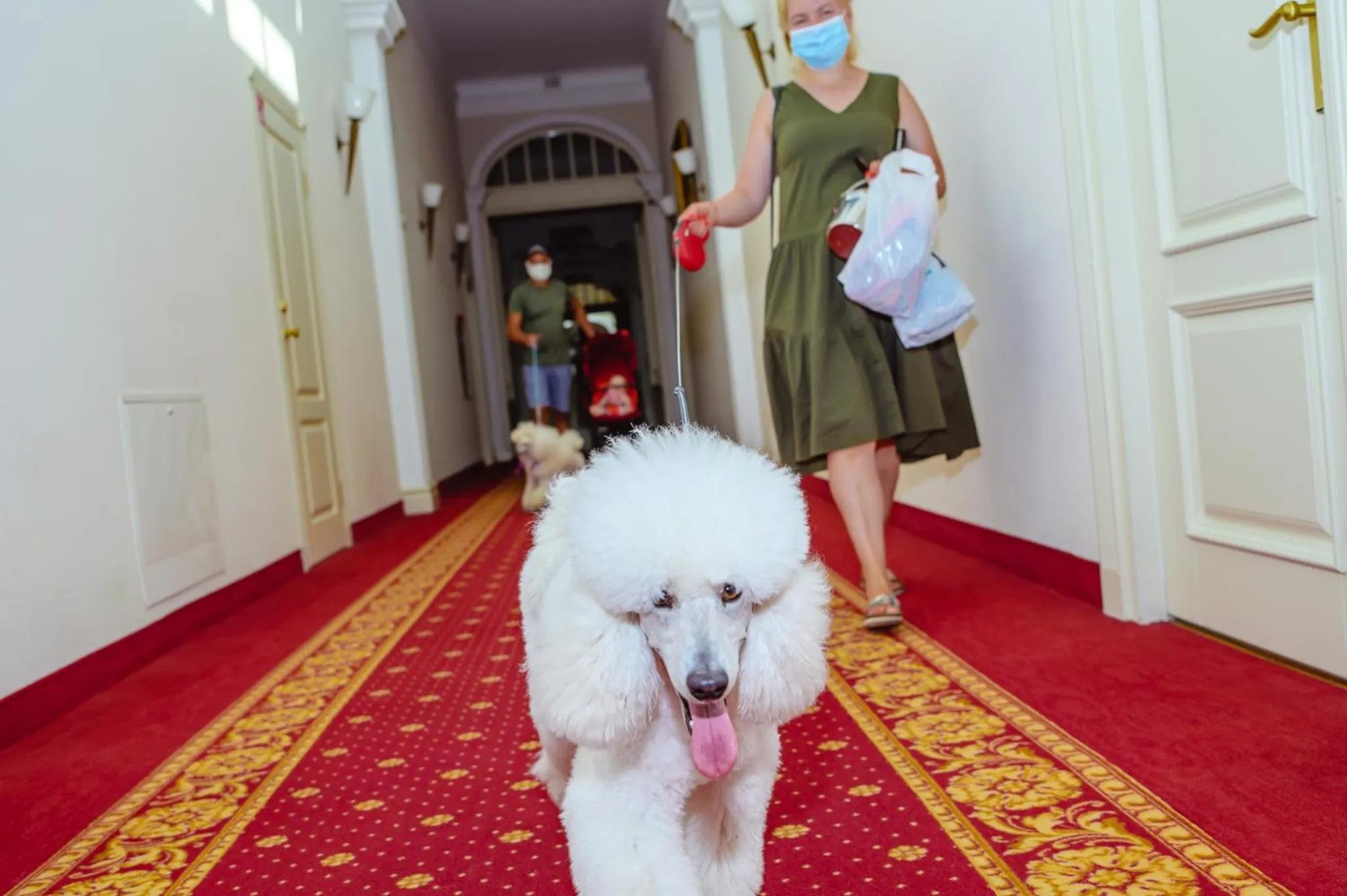 Superior Twin Room with Spa Access  in Europa Royale Druskininkai