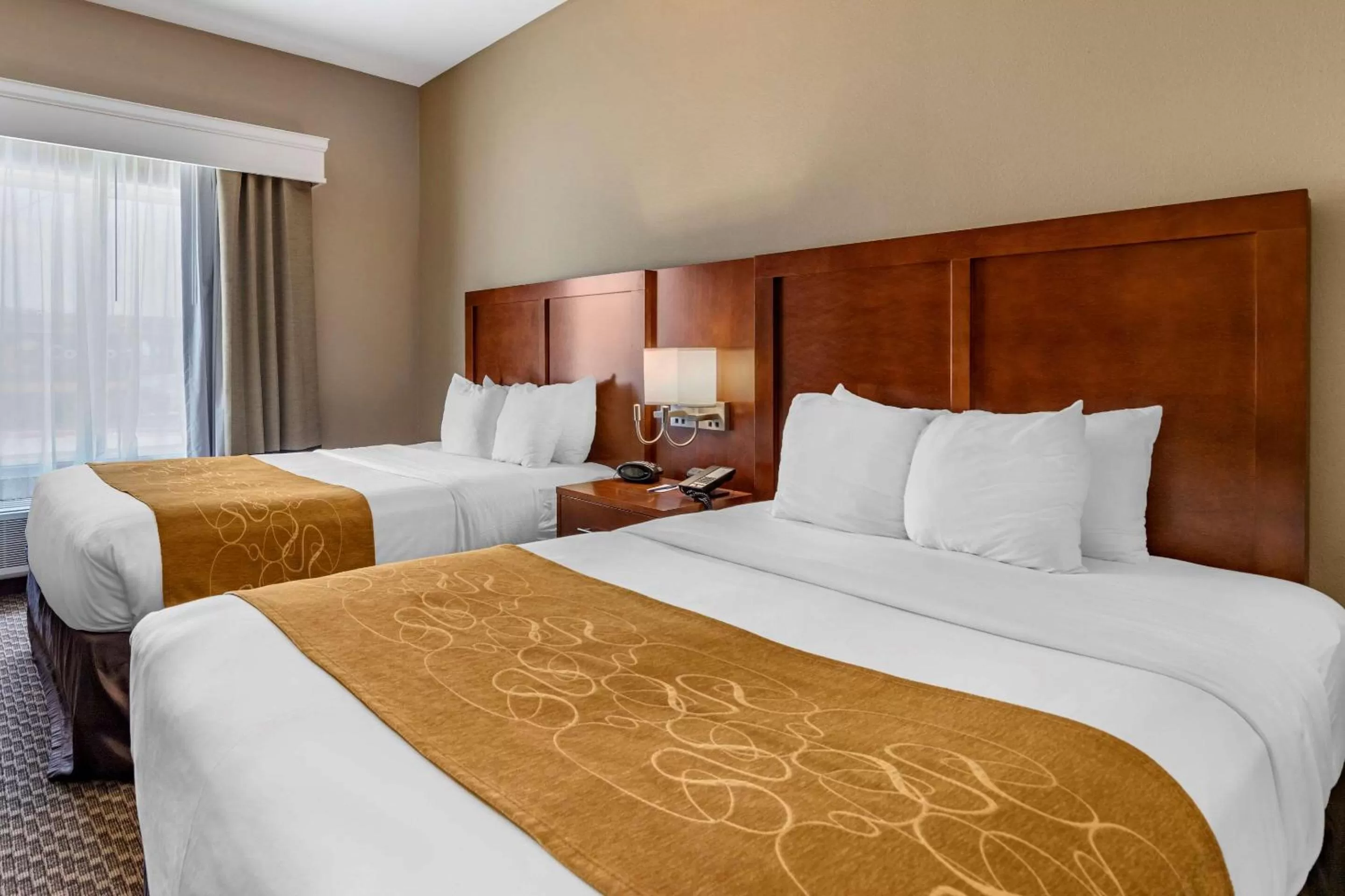 Queen Suite with 2 Queen Beds and Sofa Bed - Disability Access - Non Smoking in Comfort Suites Near Texas A&M - Corpus Christi