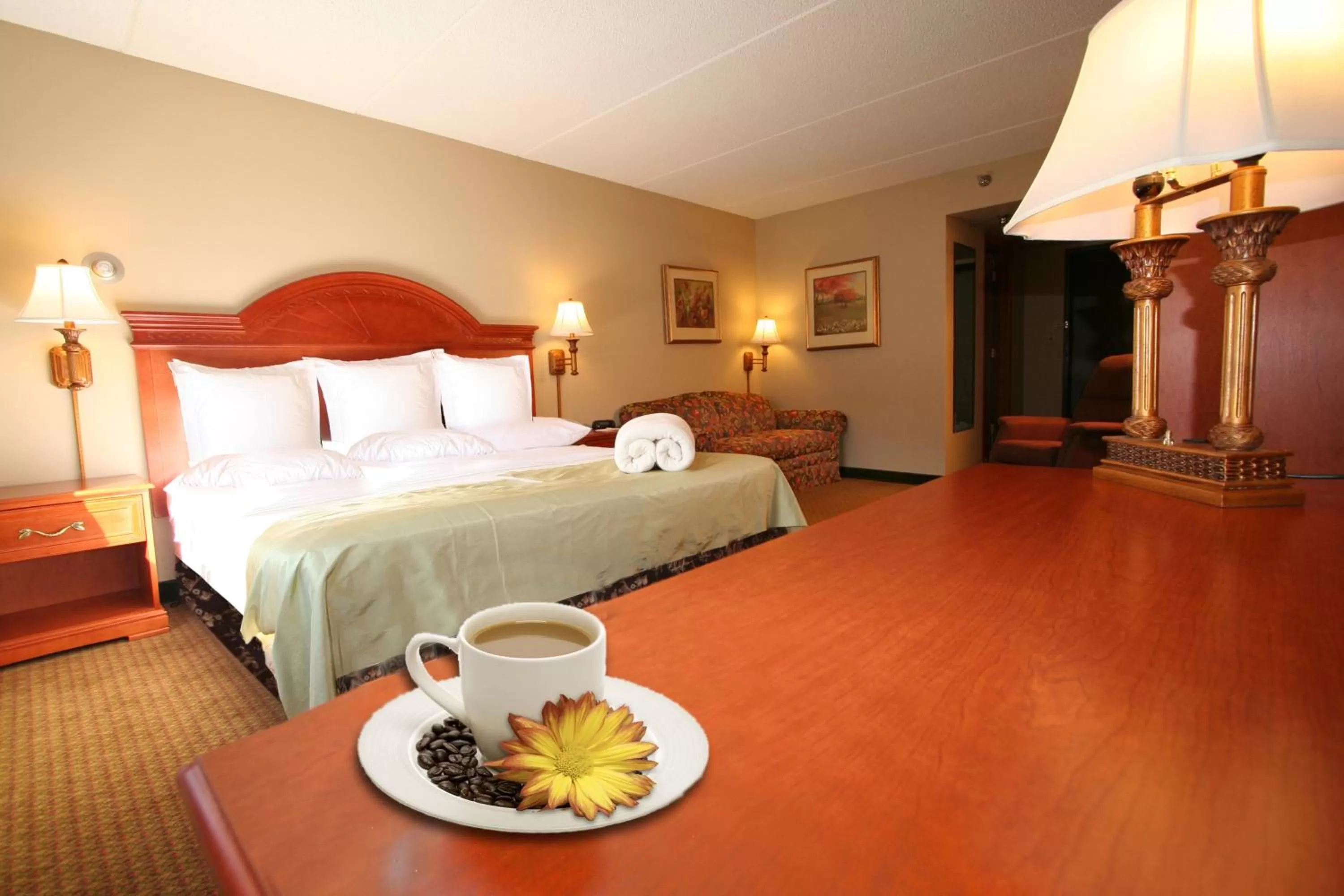 King Room with Sofa Bed - Non-Smoking in Centerstone Plaza Hotel Soldiers Field - Mayo Clinic Area